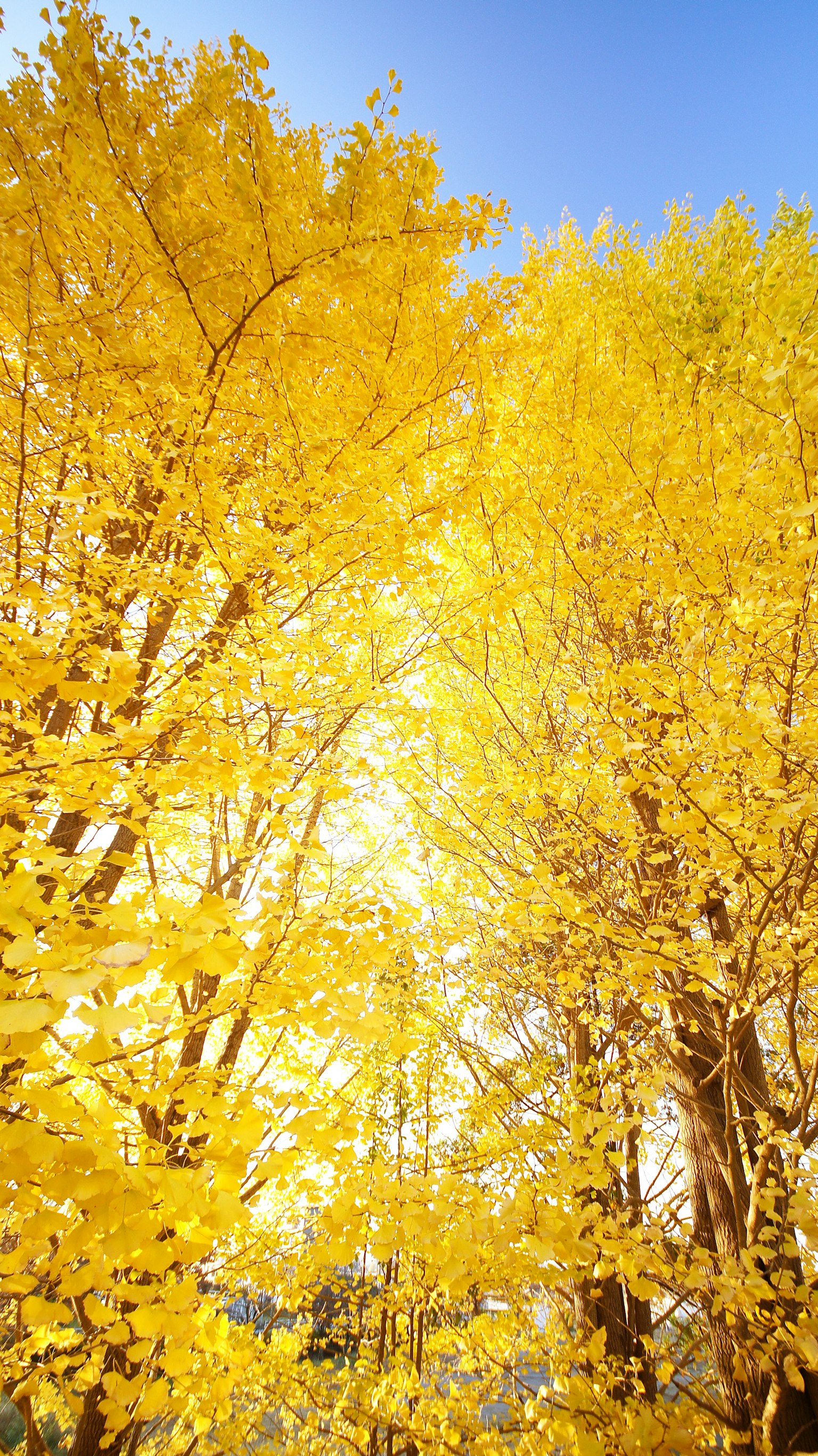 photo-sZKgUmwfEdXiDuv5bsem-image