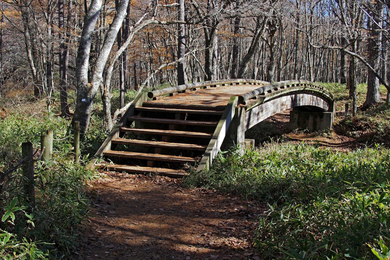 Pont en bois en arc entouré de paysages naturels