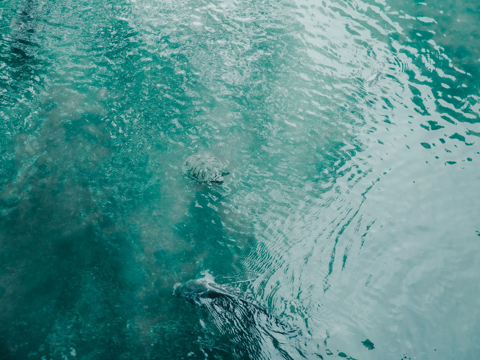 Calm water surface with ripples in shades of blue