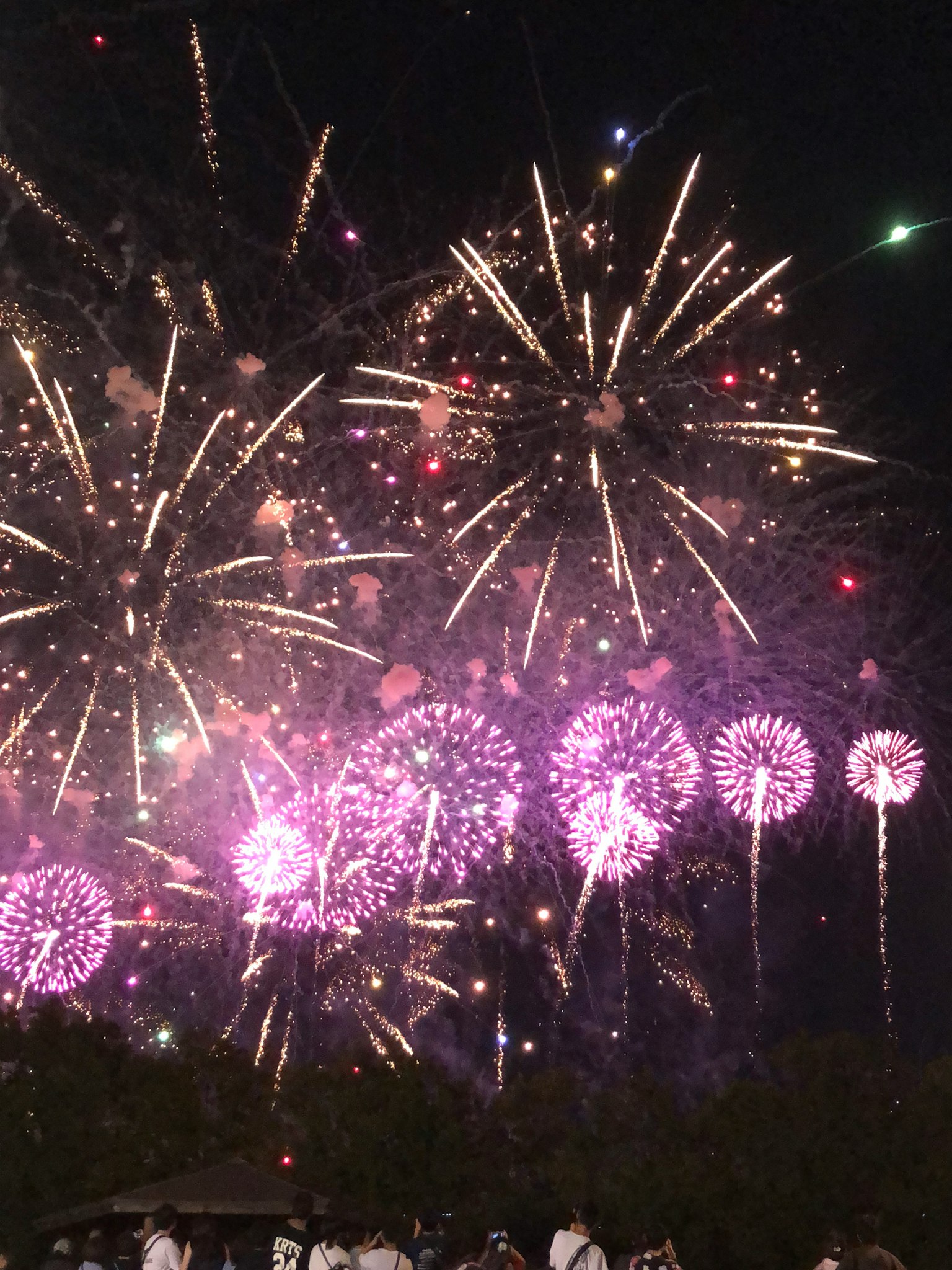 Eine lebhafte Feuerwerkshow, die den Nachthimmel mit bunten Ausbrüchen erleuchtet