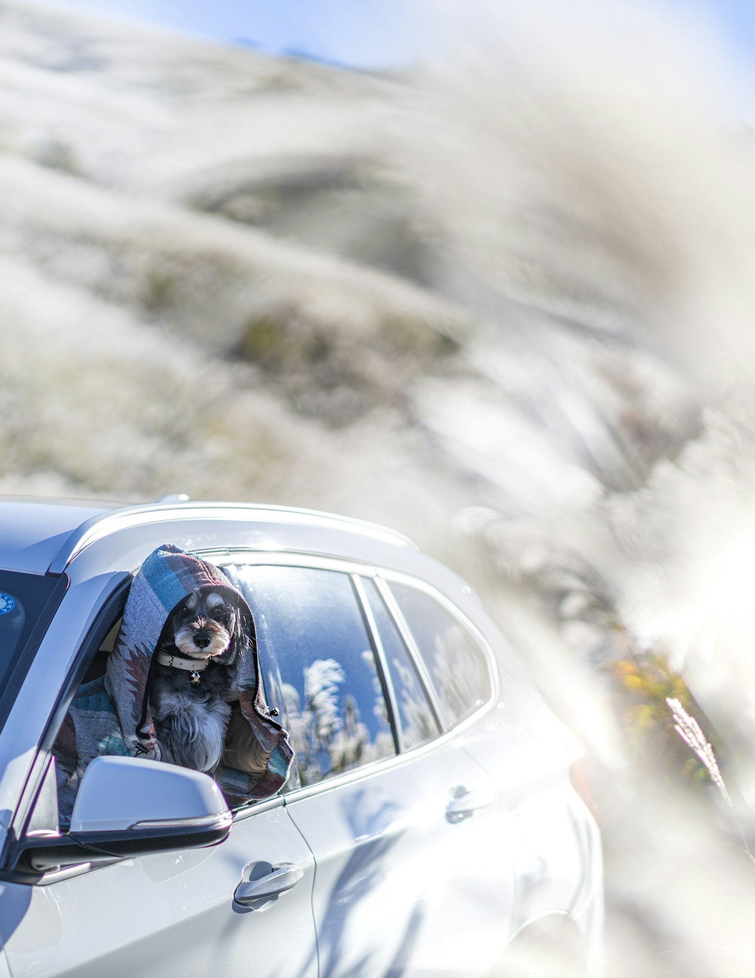 A dog with its head out of a car window and a beautiful landscape