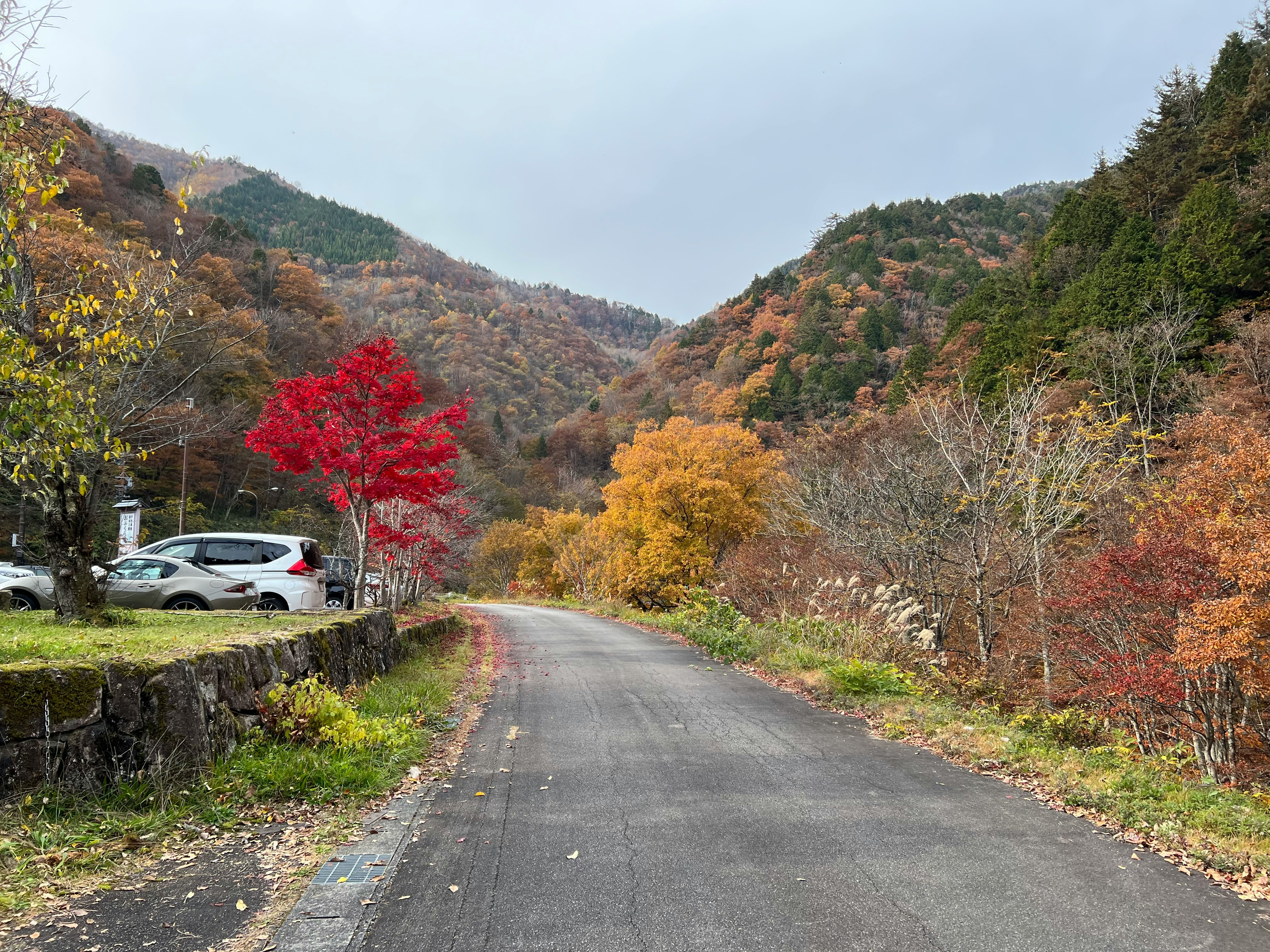 una strada dritta tra montagne autunnali con fogliame colorato