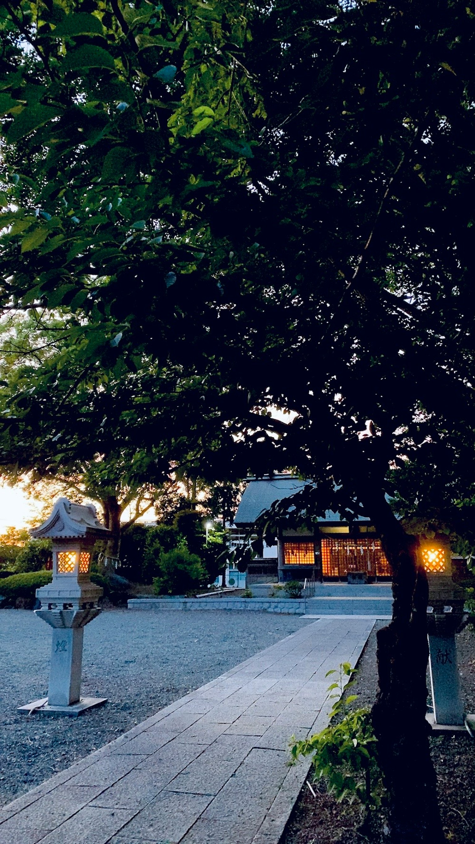 Scenic view of lanterns and trees in a garden at dusk