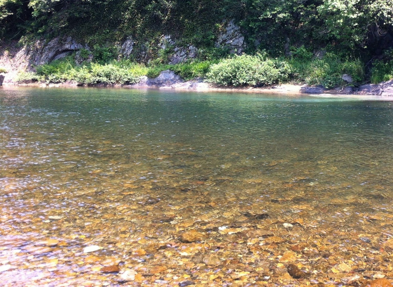 寧靜的河流場景，清澈的水面下可見卵石，岸邊綠樹成蔭
