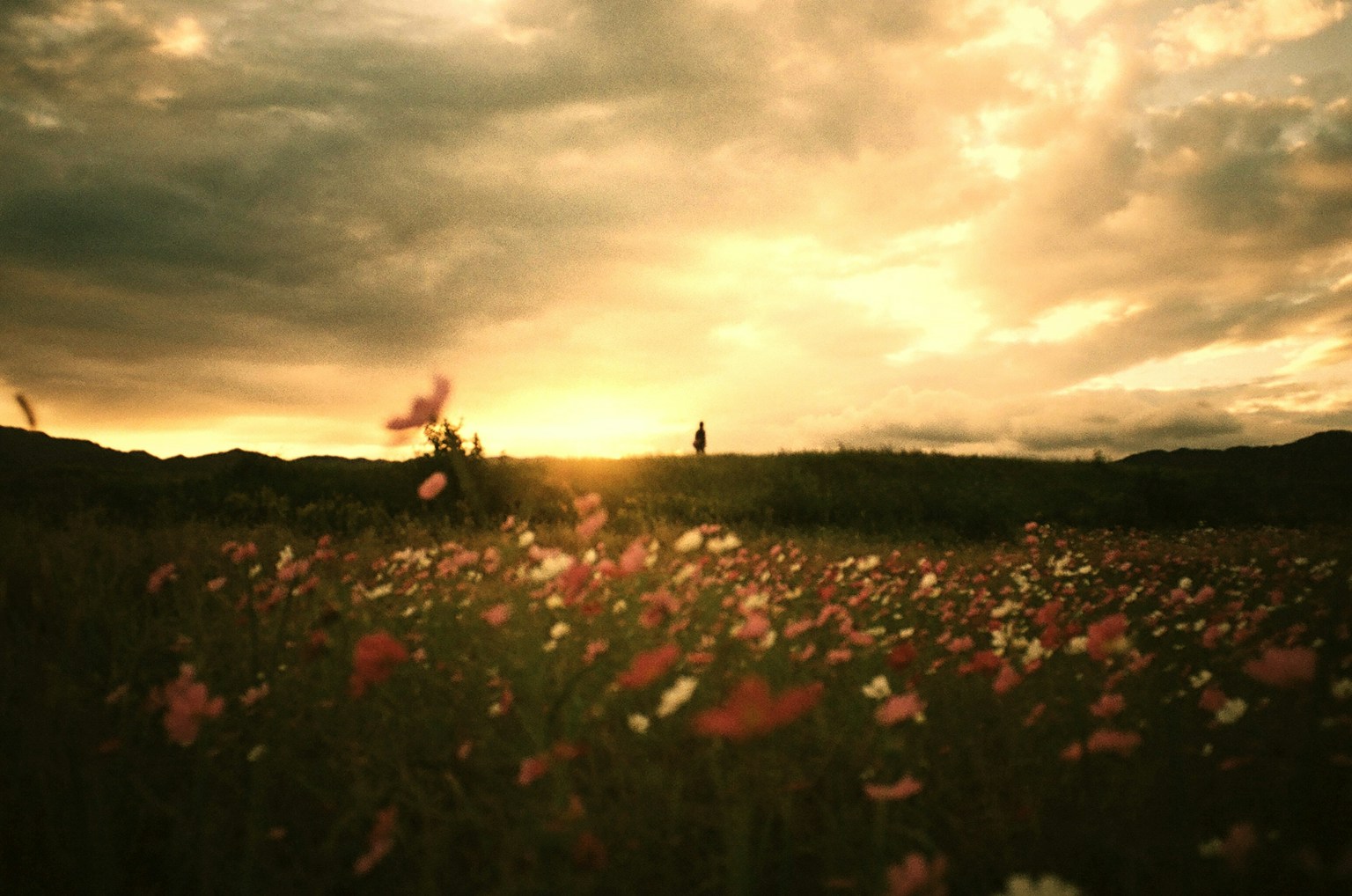 photo-sbzTHCnPaLmApCKUuOFp-image