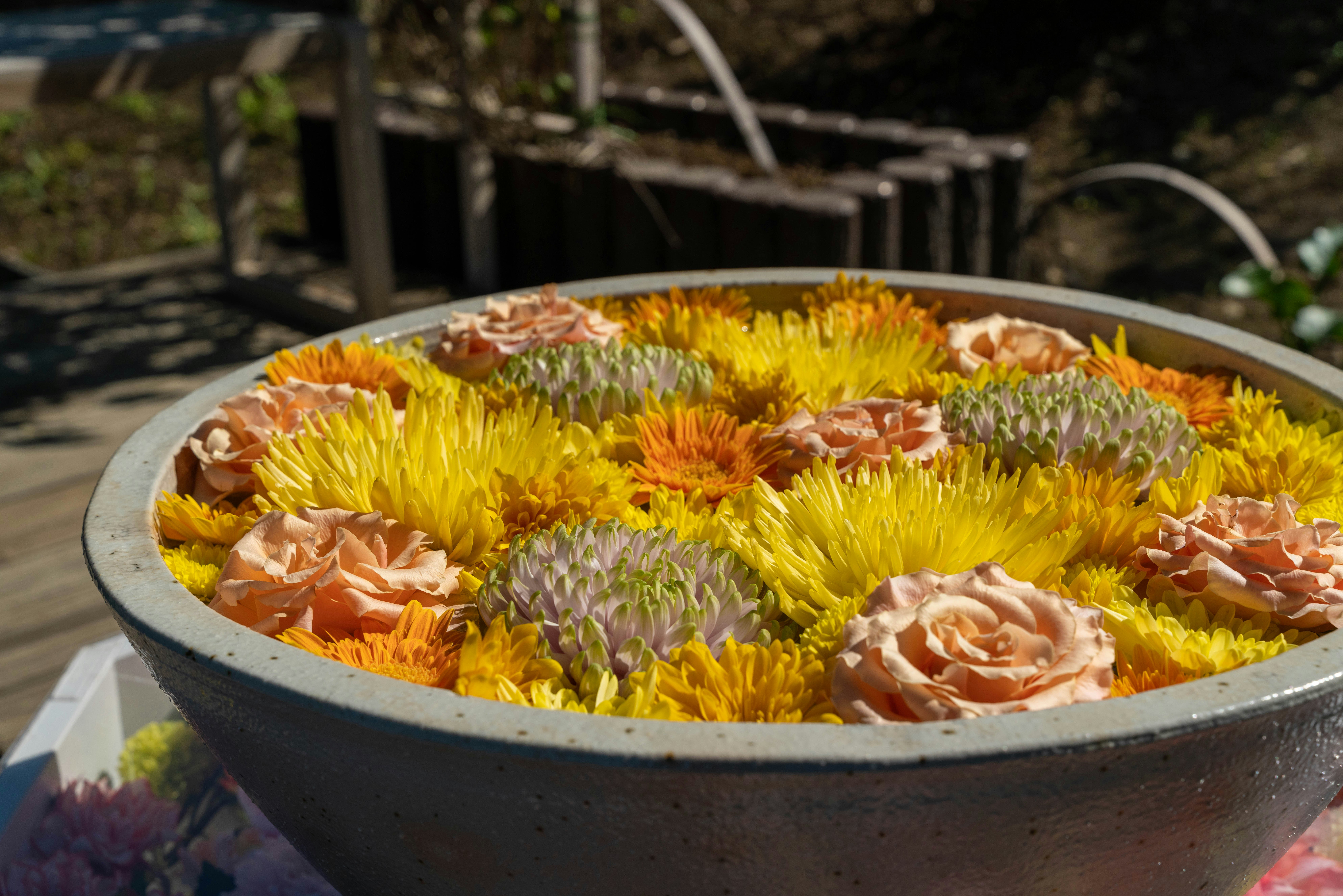 Un grand bol rempli de fleurs vibrantes, y compris des chrysanthèmes jaunes et des roses pêche