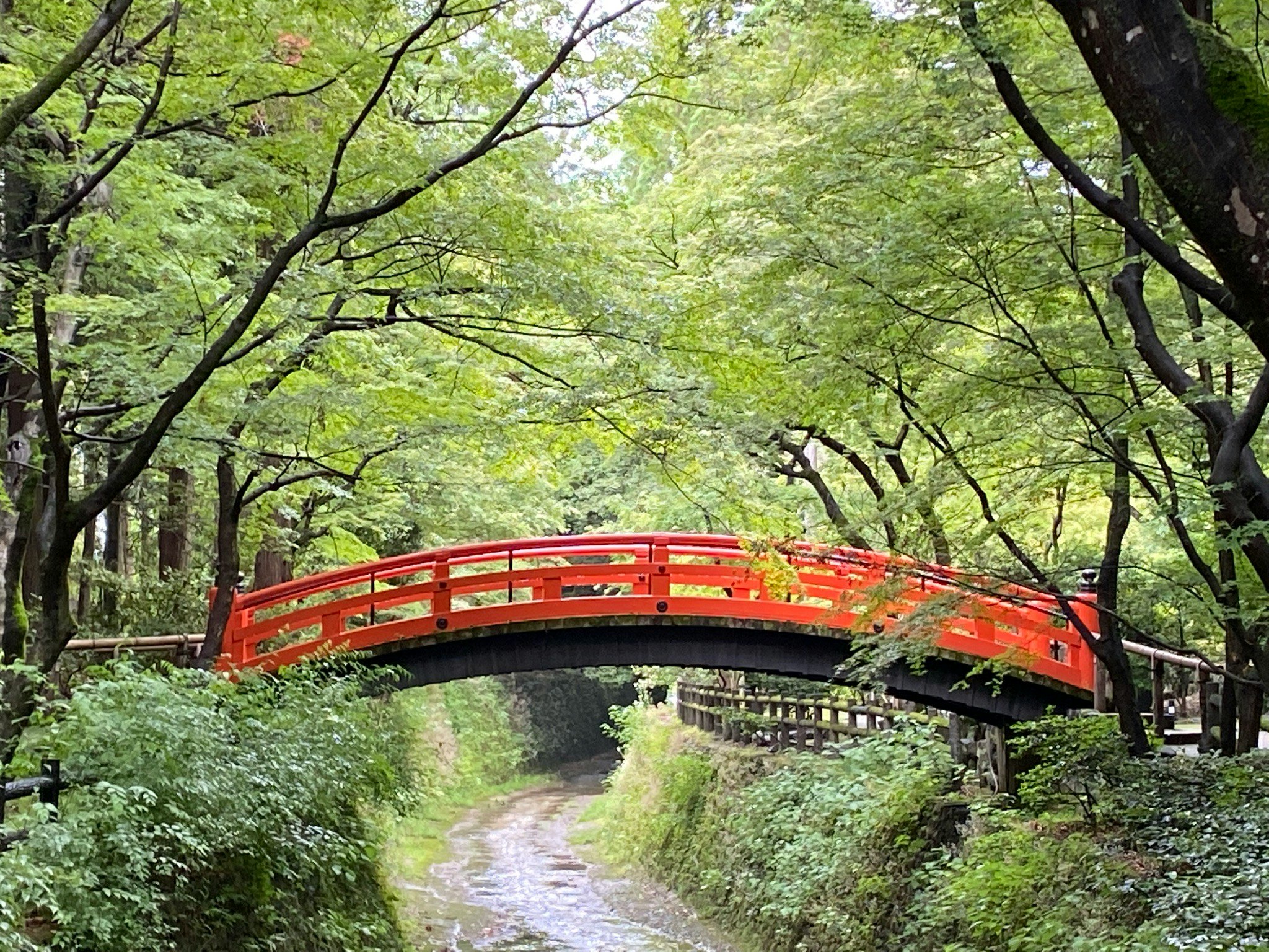 Rote Bogenbrücke über einem von Grün gesäumten Weg bei Yōbashi (Kitano Tenmangū, Kyōto)