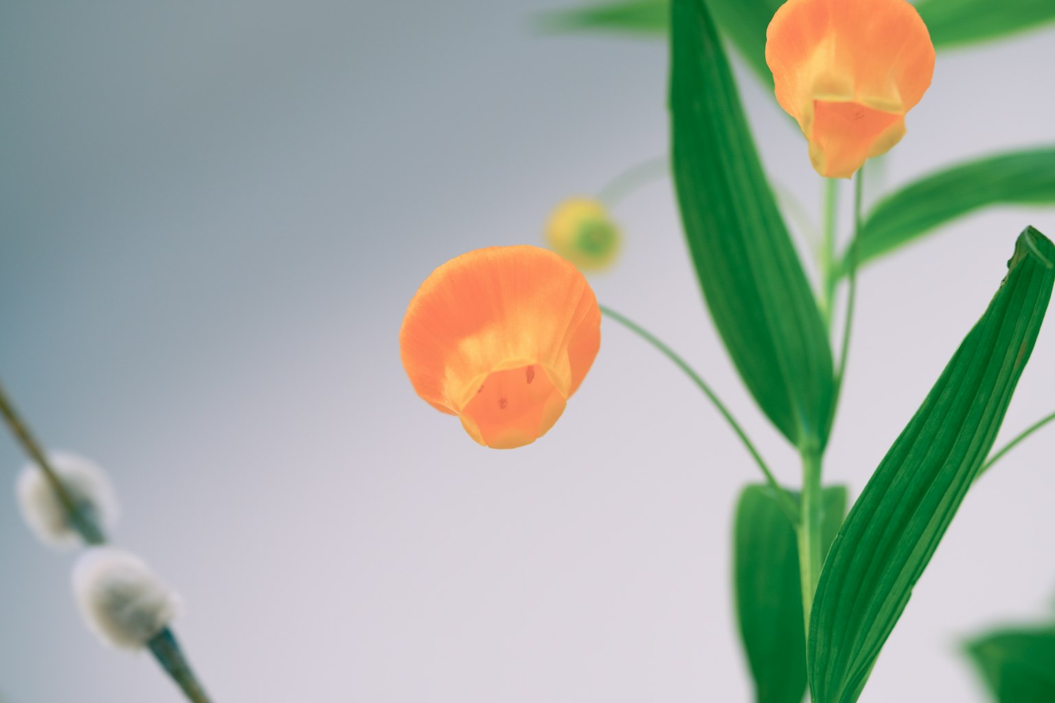 photo-sciYpyrwCTFsOH33xAYX-image