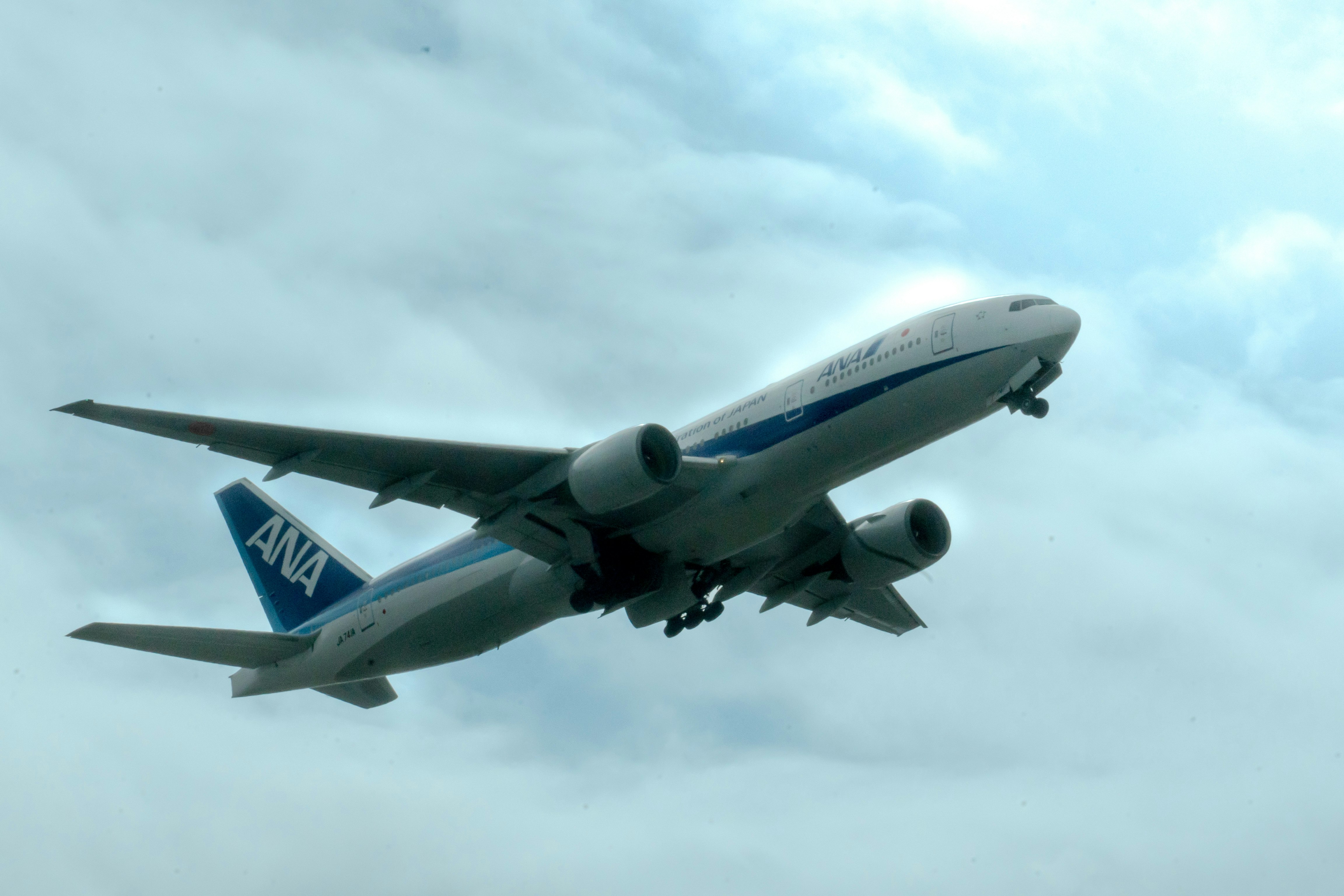 雲の下を飛ぶANAの旅客機