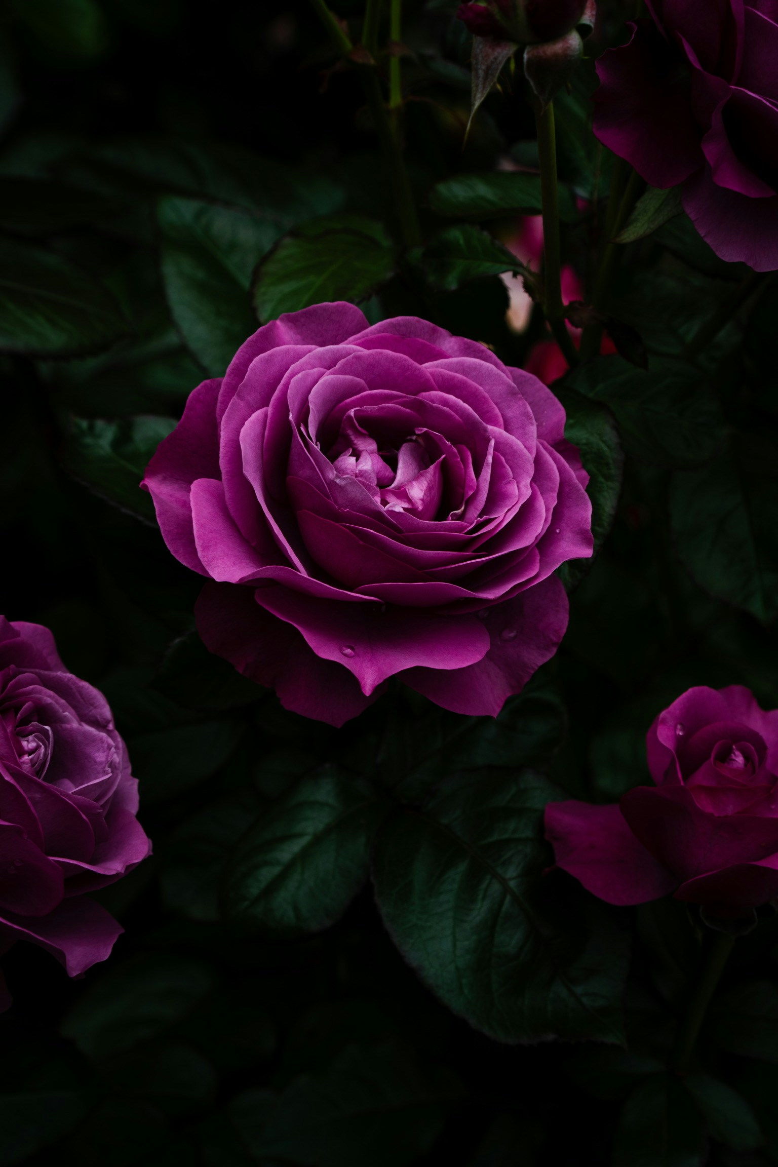 photo-sd44XomEMQXLRm3DQfq7-image