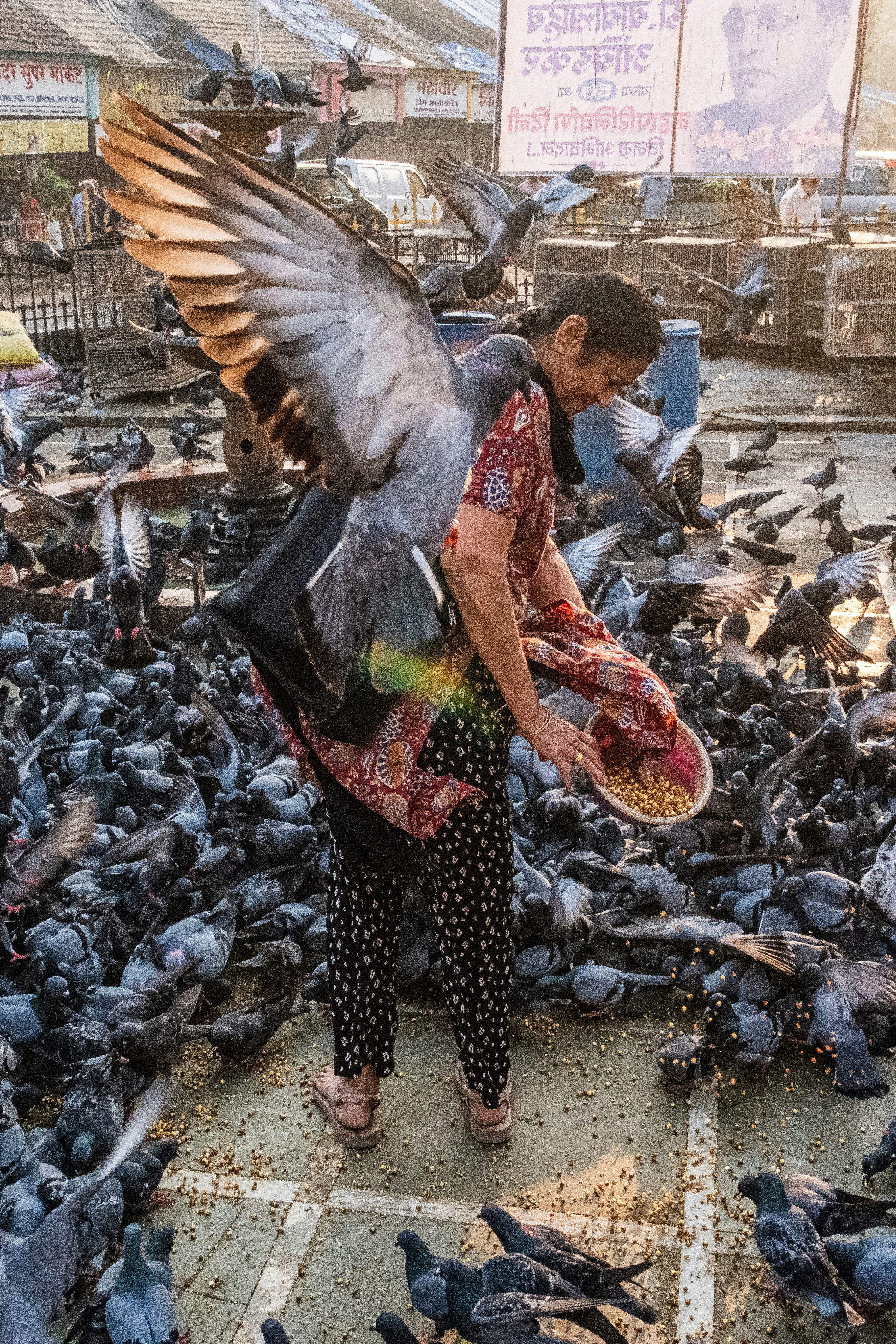 閉鎖された鳩の餌やり場で鳩に餌を与える女性
