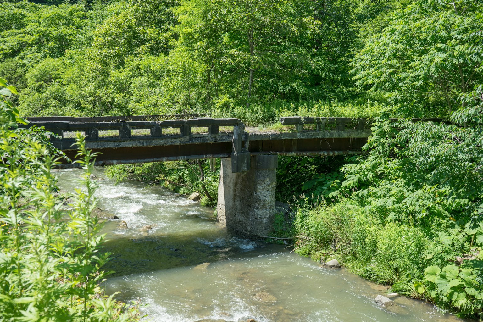 Un puente viejo que cruza un arroyo rodeado de vegetación exuberante