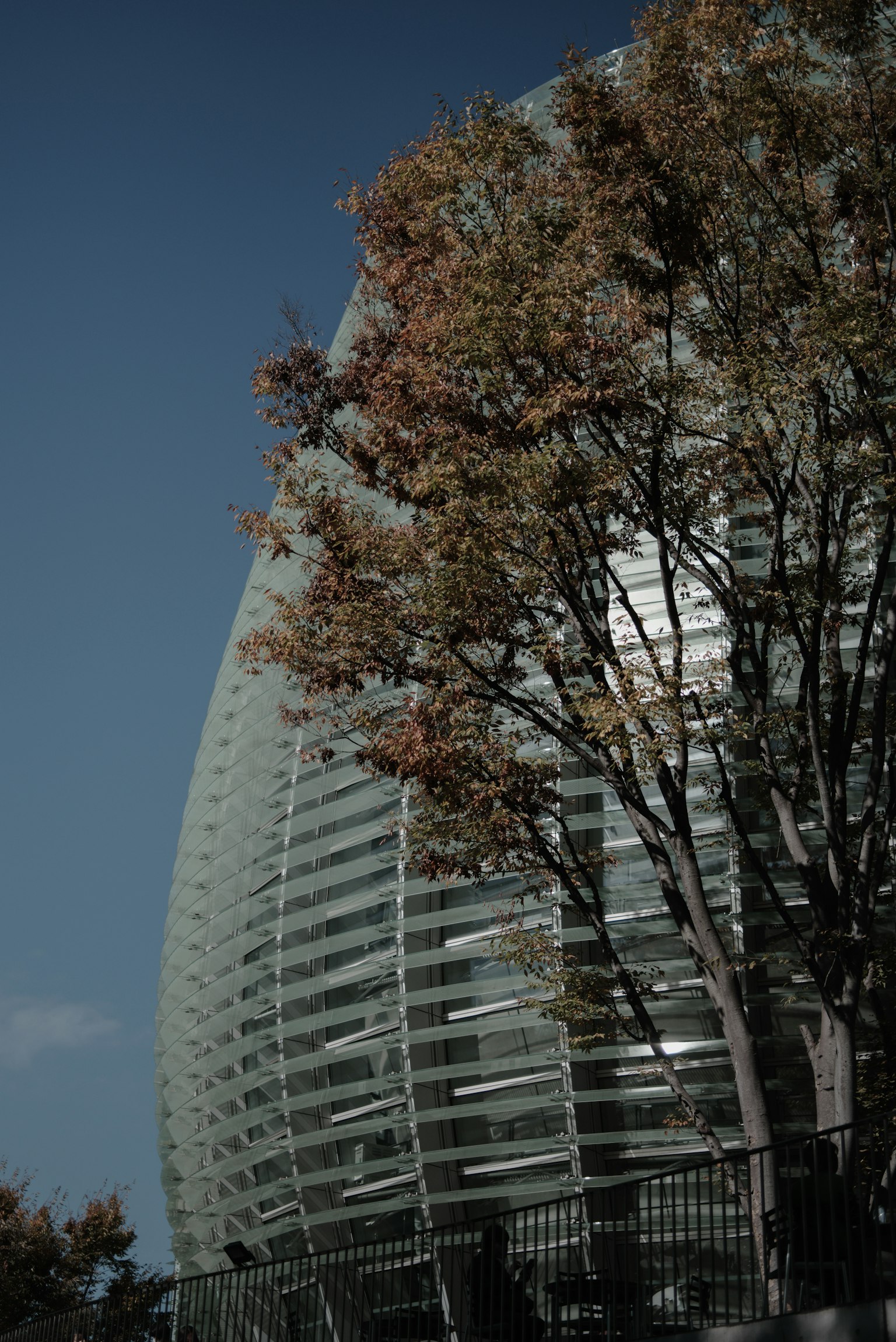 現代建築與玻璃外立面和周圍樹木