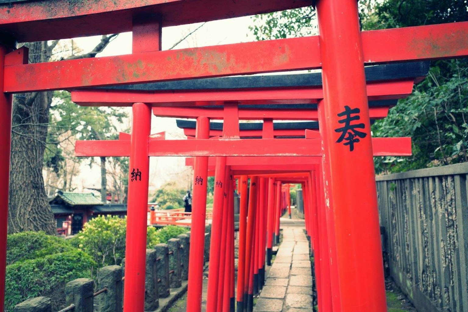 两侧是鲜艳红色鸟居的道路