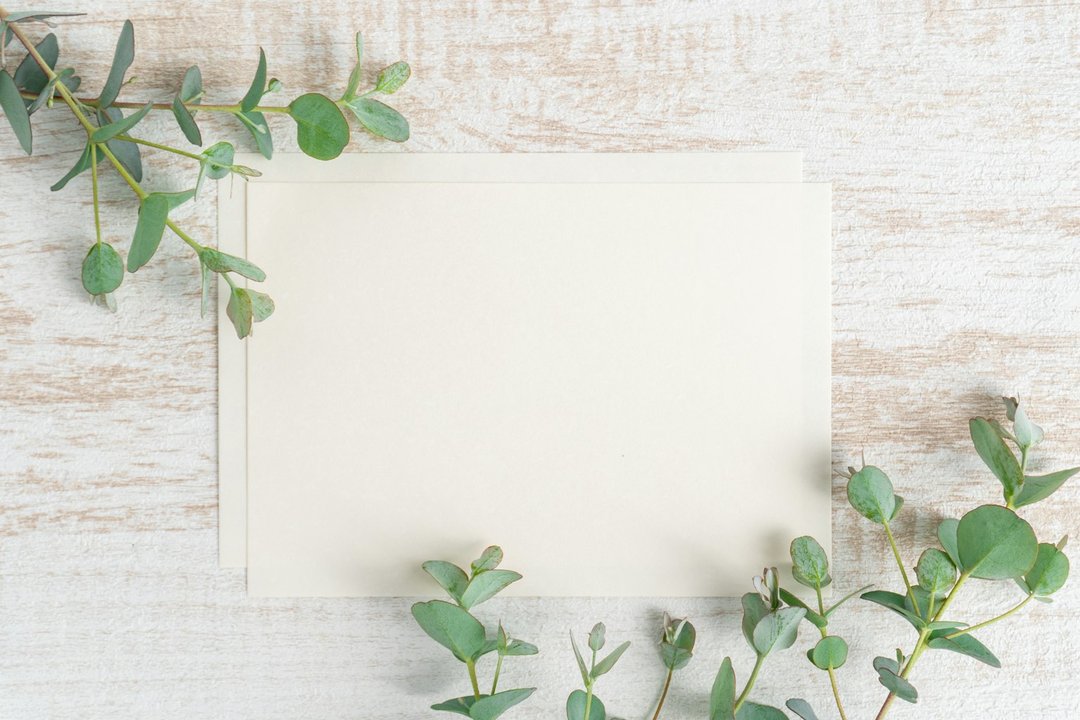 Blank card surrounded by green leaves on a light wooden background