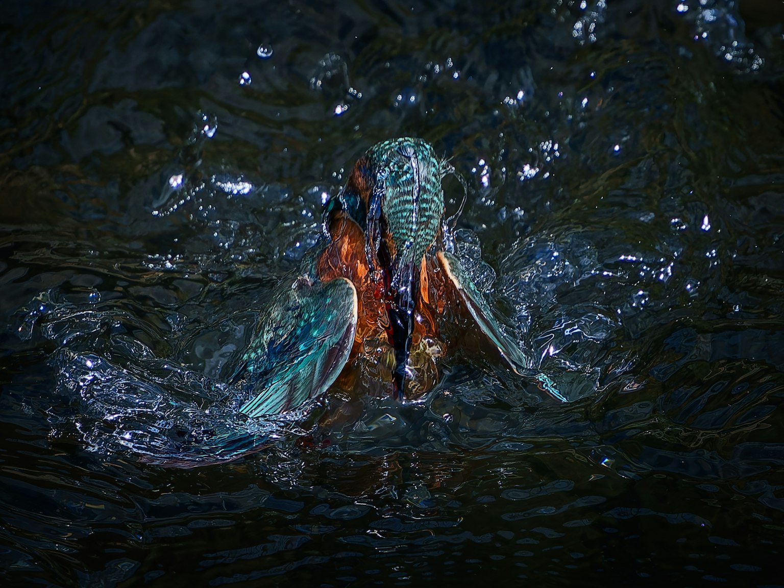 Ein Eisvogel, der ins Wasser taucht, mit lebhaften Federn und Spritzern