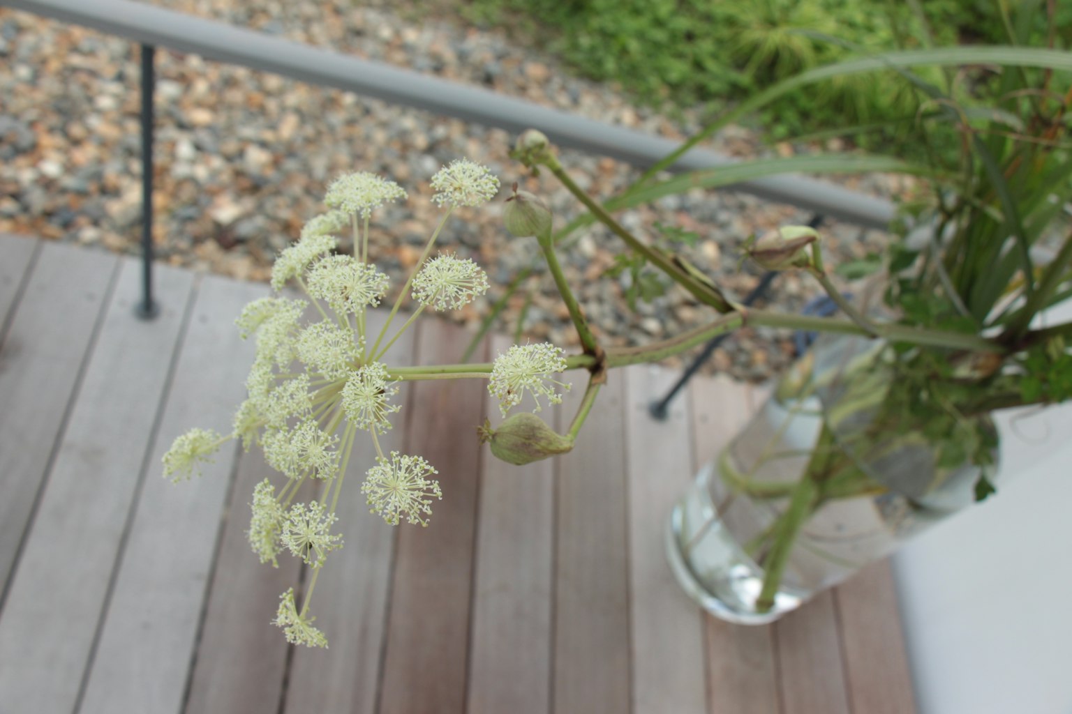 Ein Zweig mit weißen Blumen in einer Glasvase auf einer Holzoberfläche