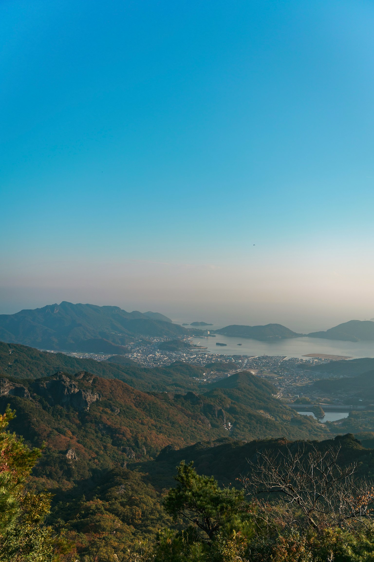 photo-sgxveRoQXagpzJVWgpLA-image