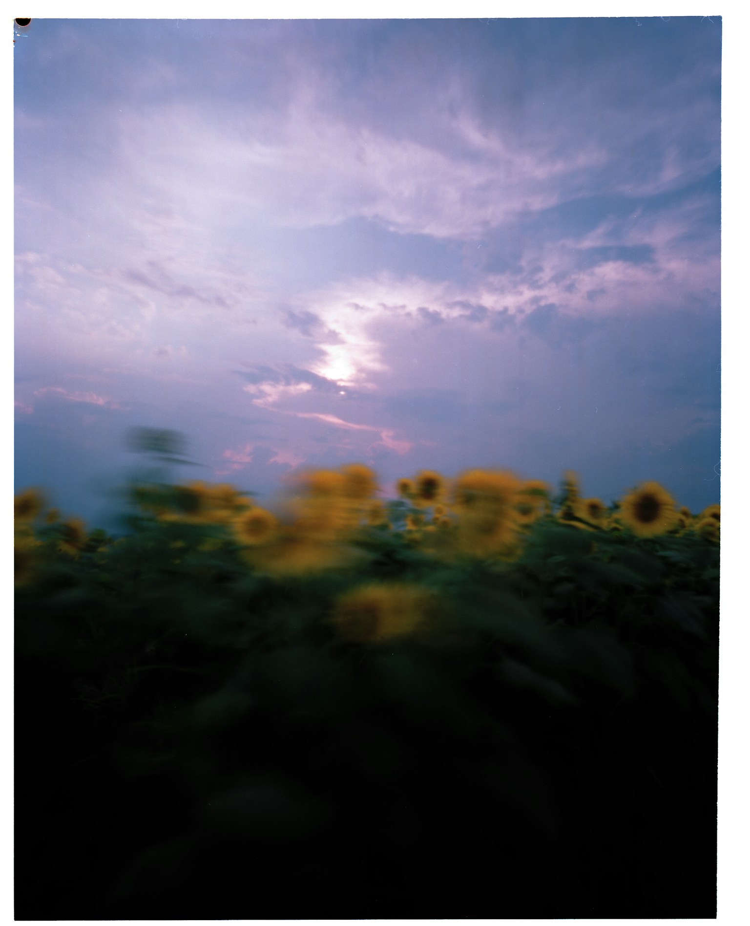 photo-si03sFFZ4bKmKJswEmKM-image