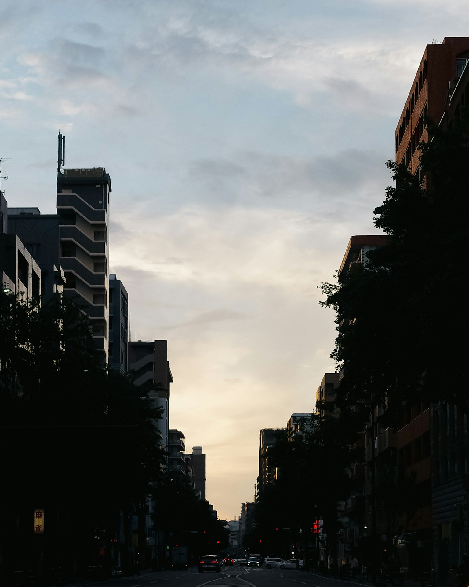 Silhouette of a city street at dusk