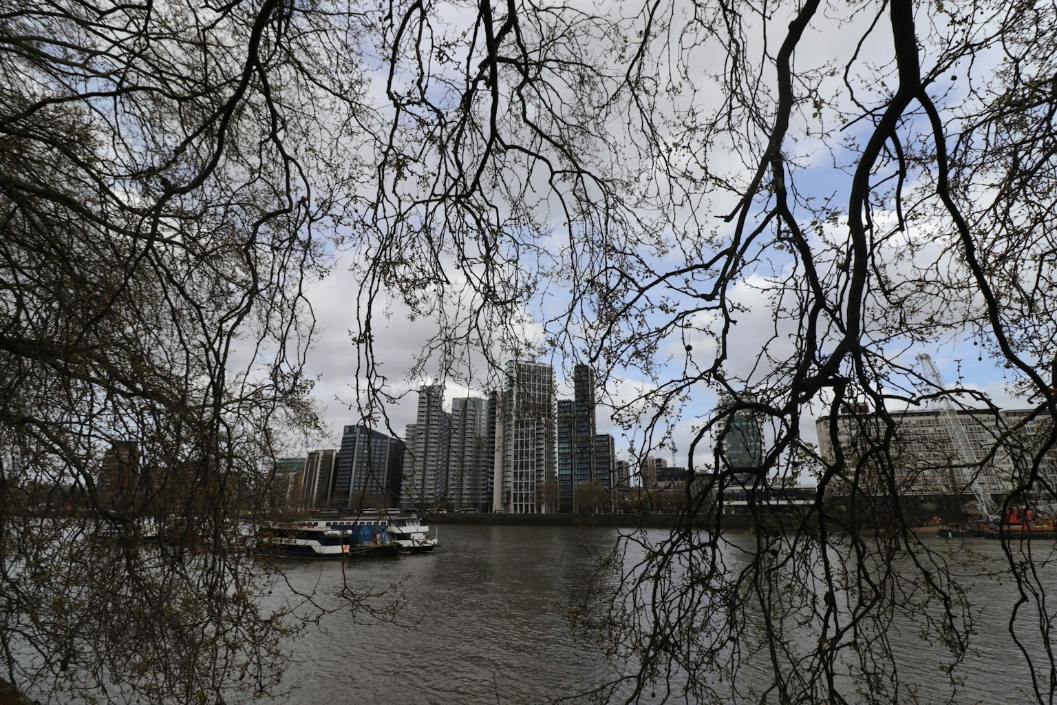 Gratte-ciels près d'une rivière avec un ciel nuageux encadré par des branches d'arbres