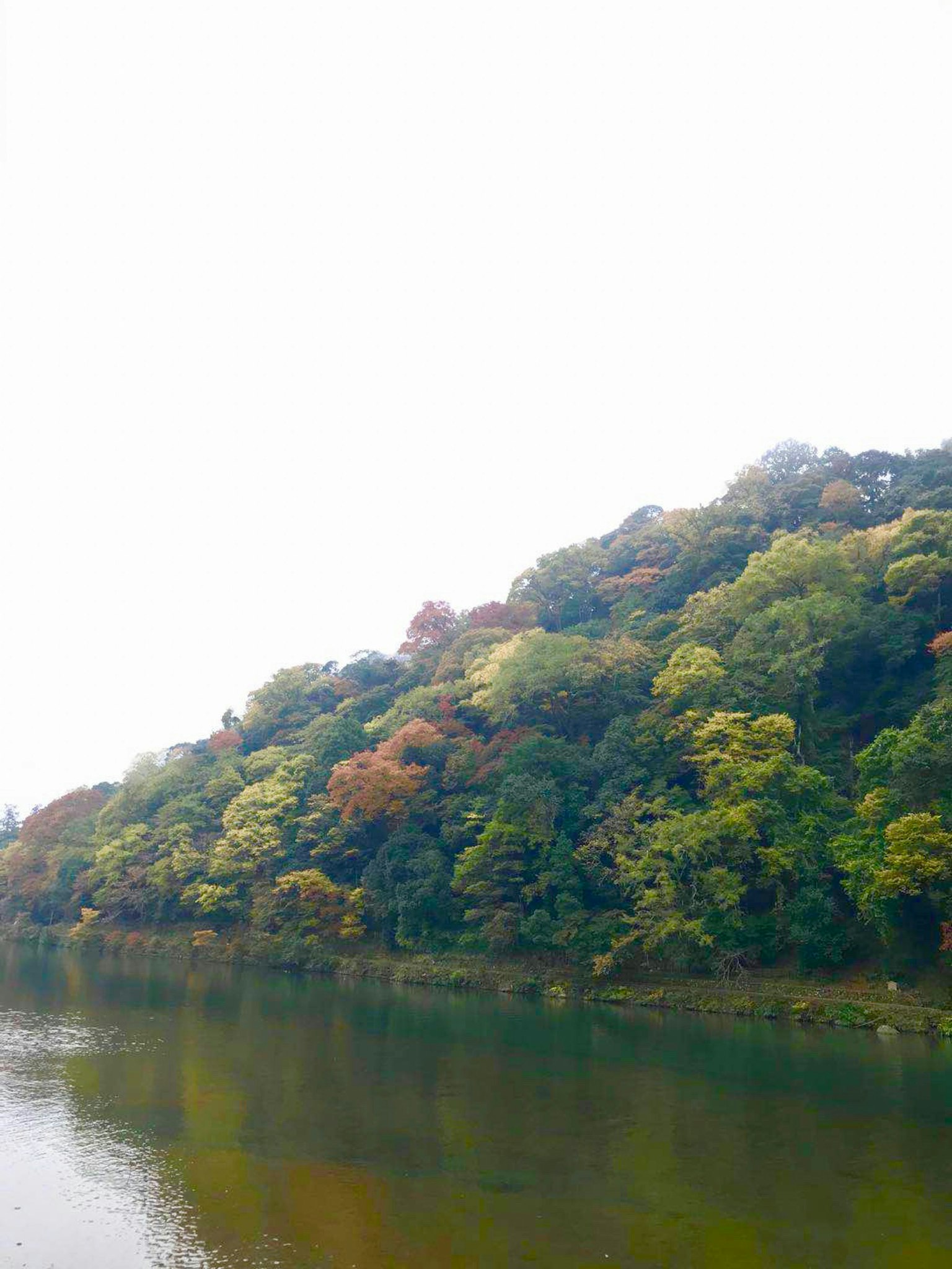 Paisaje de río tranquilo con árboles coloridos reflejándose en el agua