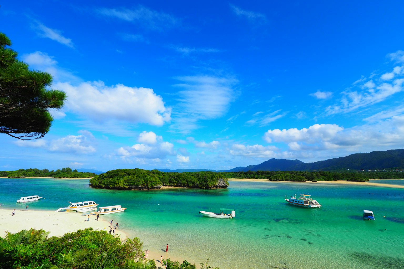 美麗的海灘場景 藍天和清澈的海水 船隻停泊