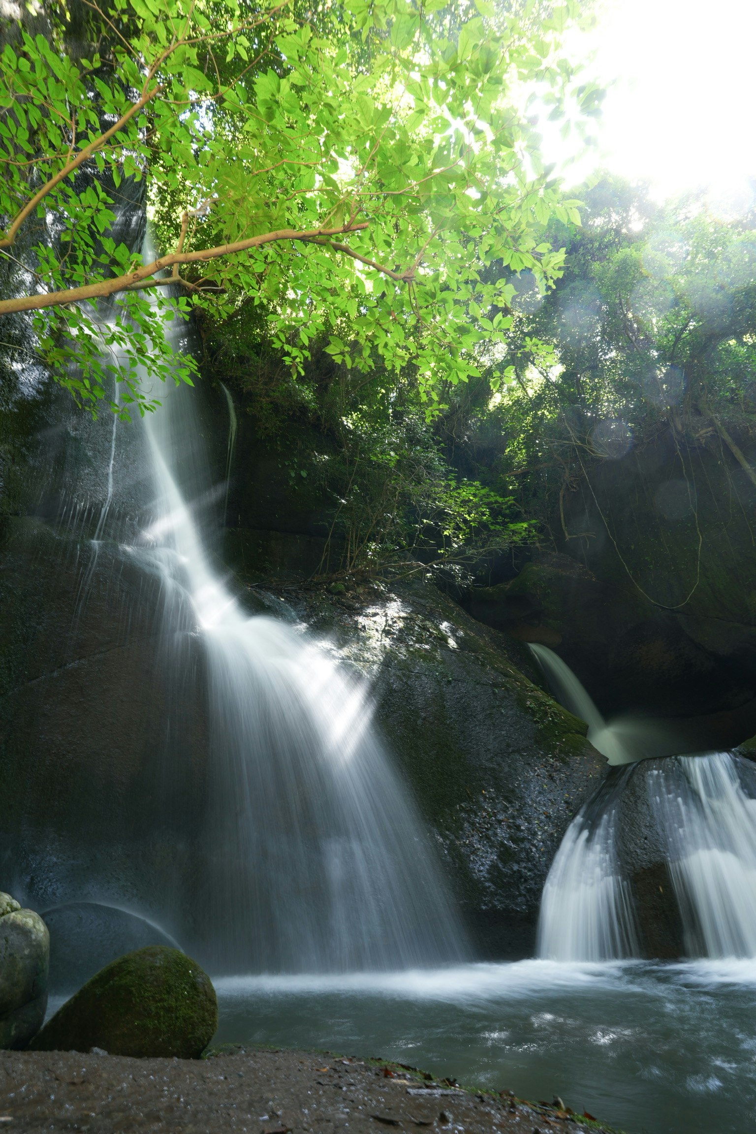 Magnifique cascade entourée d'une végétation luxuriante