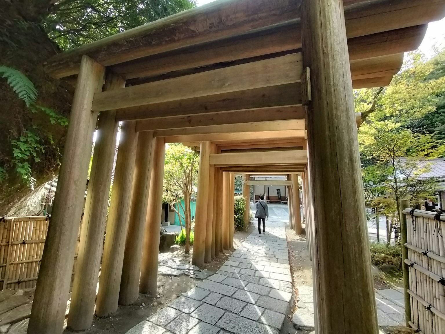 Weg gesäumt von Holz-Torii und einer gehenden Person