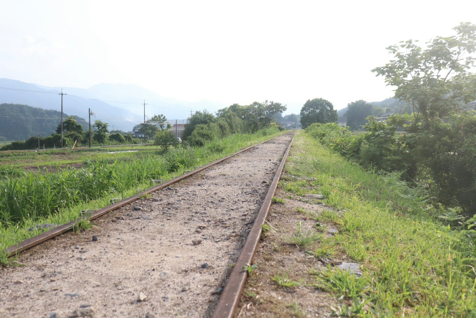 Abandoned railway track surrounded by grass and trees