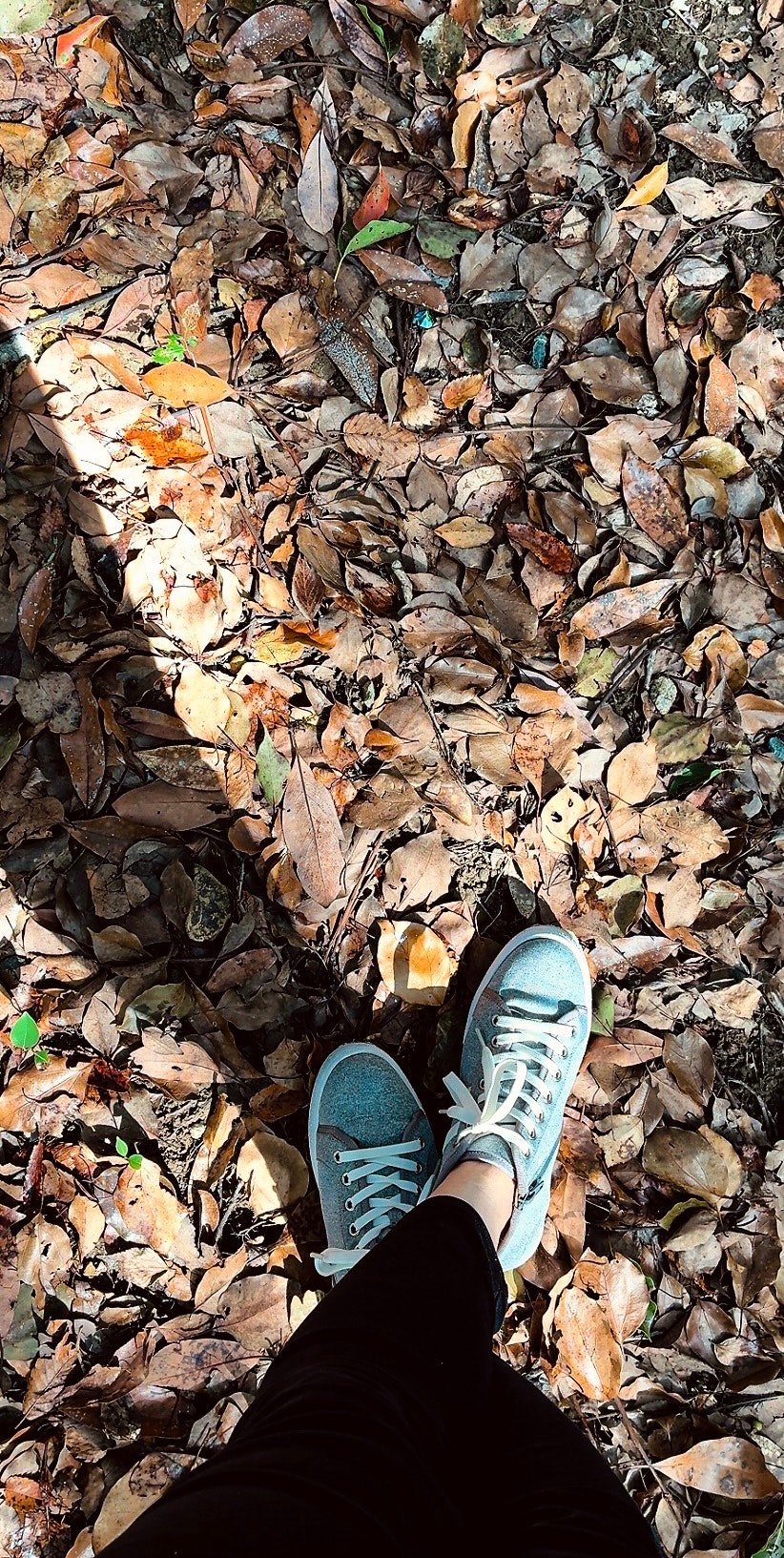 feet standing on a carpet of fallen leaves