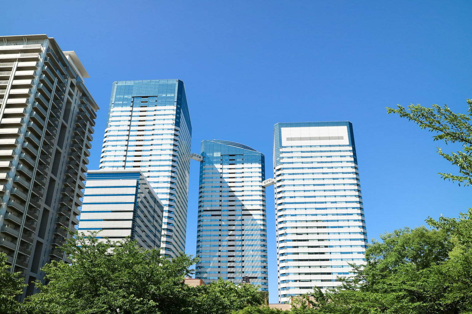 Skyscrapers under a clear blue sky with lush green trees in the foreground