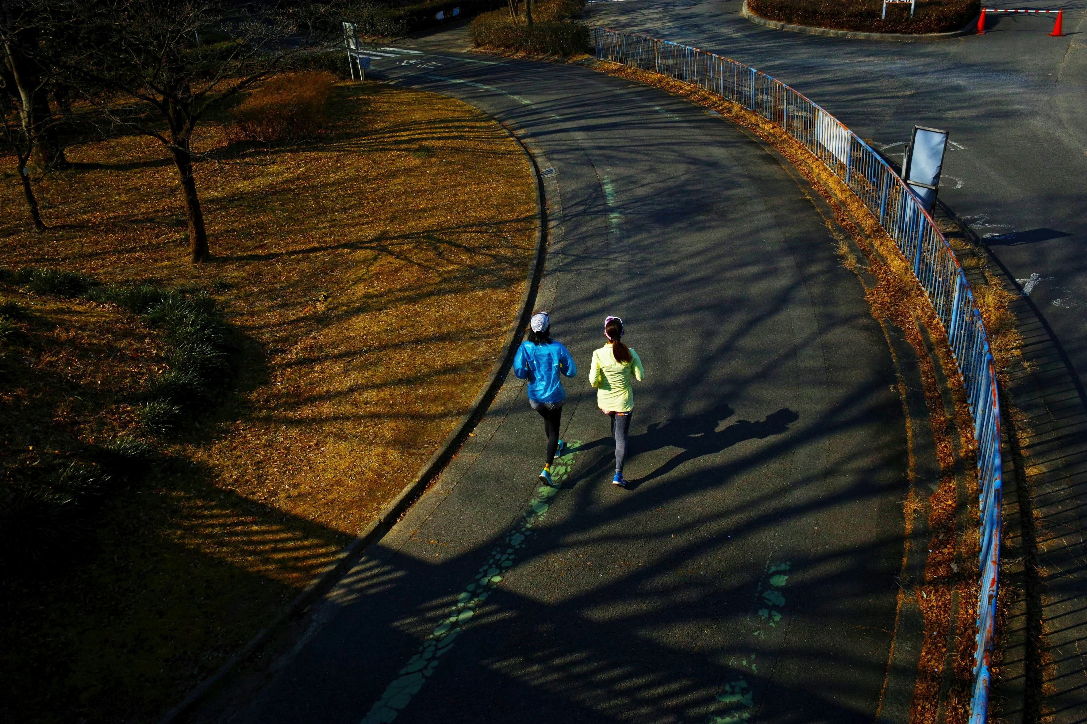 都市公園の小道を走るランナーの後ろ姿と陰影のある風景