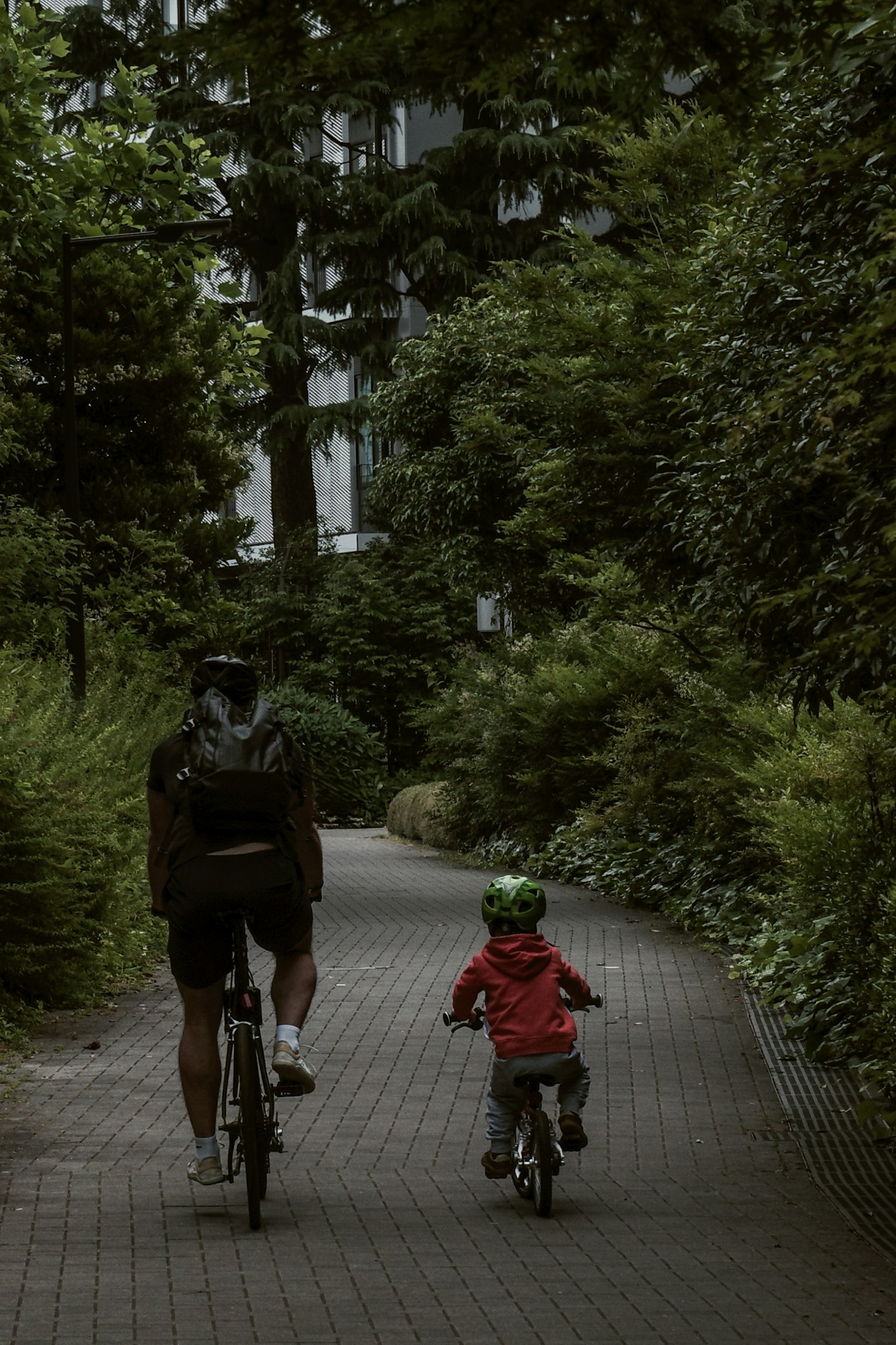 Adulto y niño montando bicicletas en un sendero verde