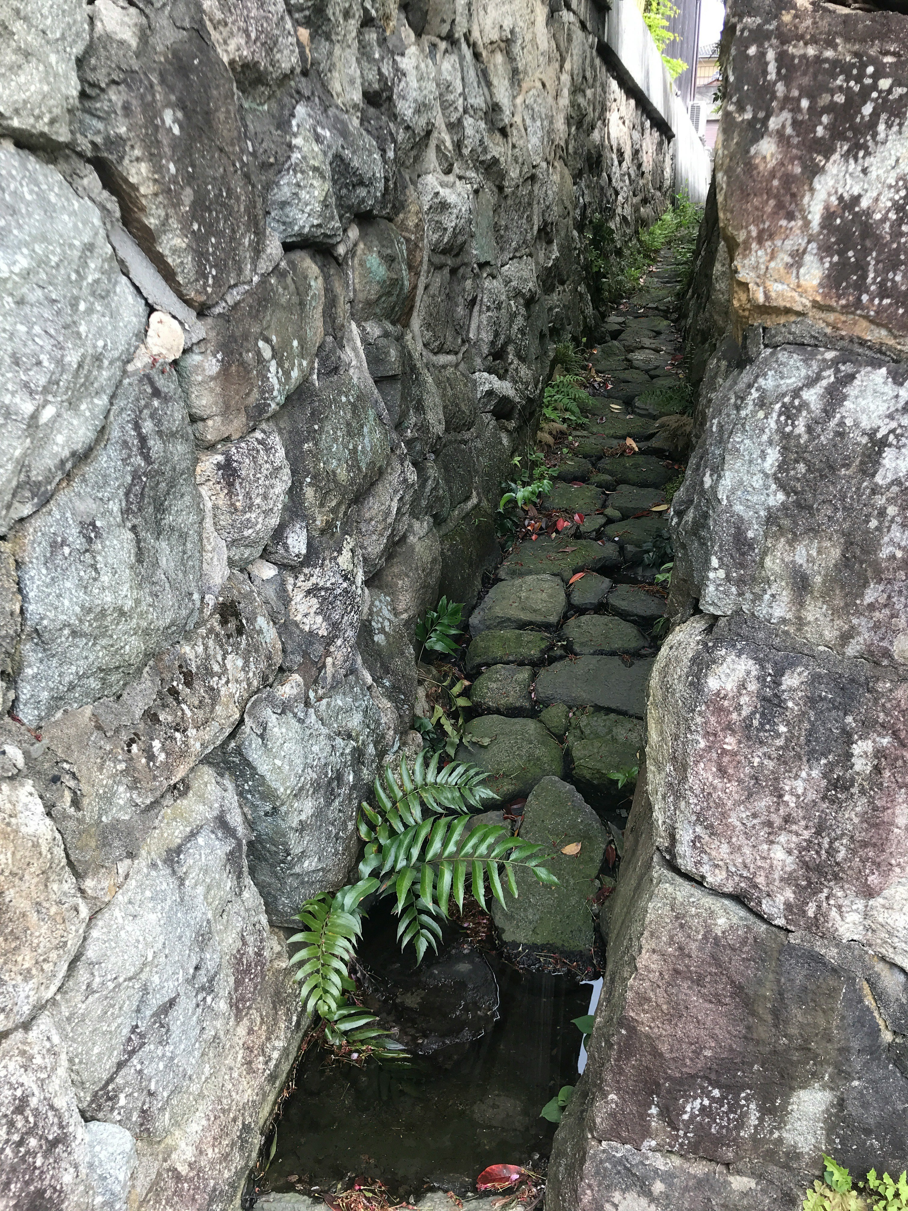八幡堀石墙夹缝中的水渠小路