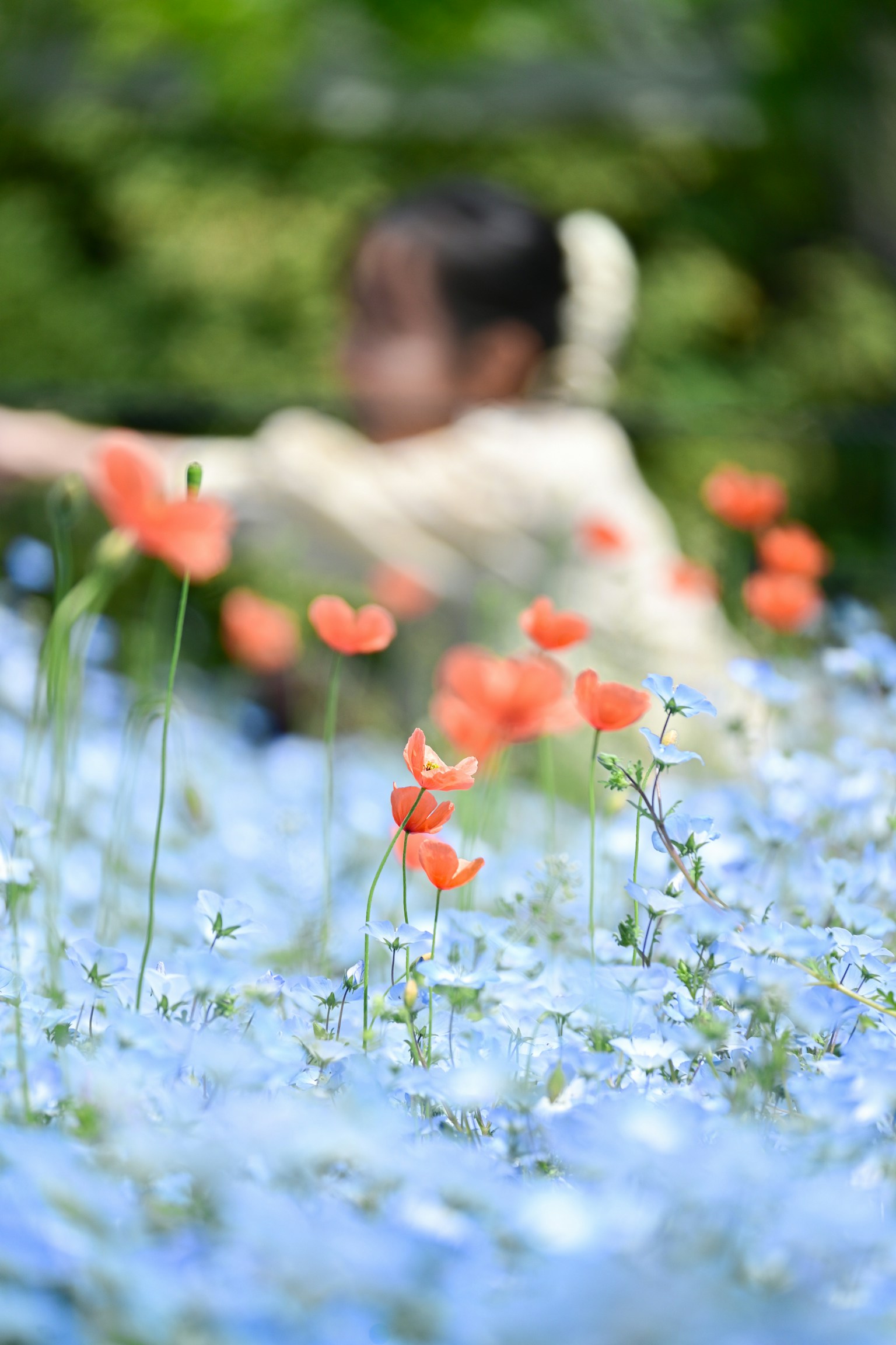 photo-sm3Ojj6NONFP1QlKFSX9-image