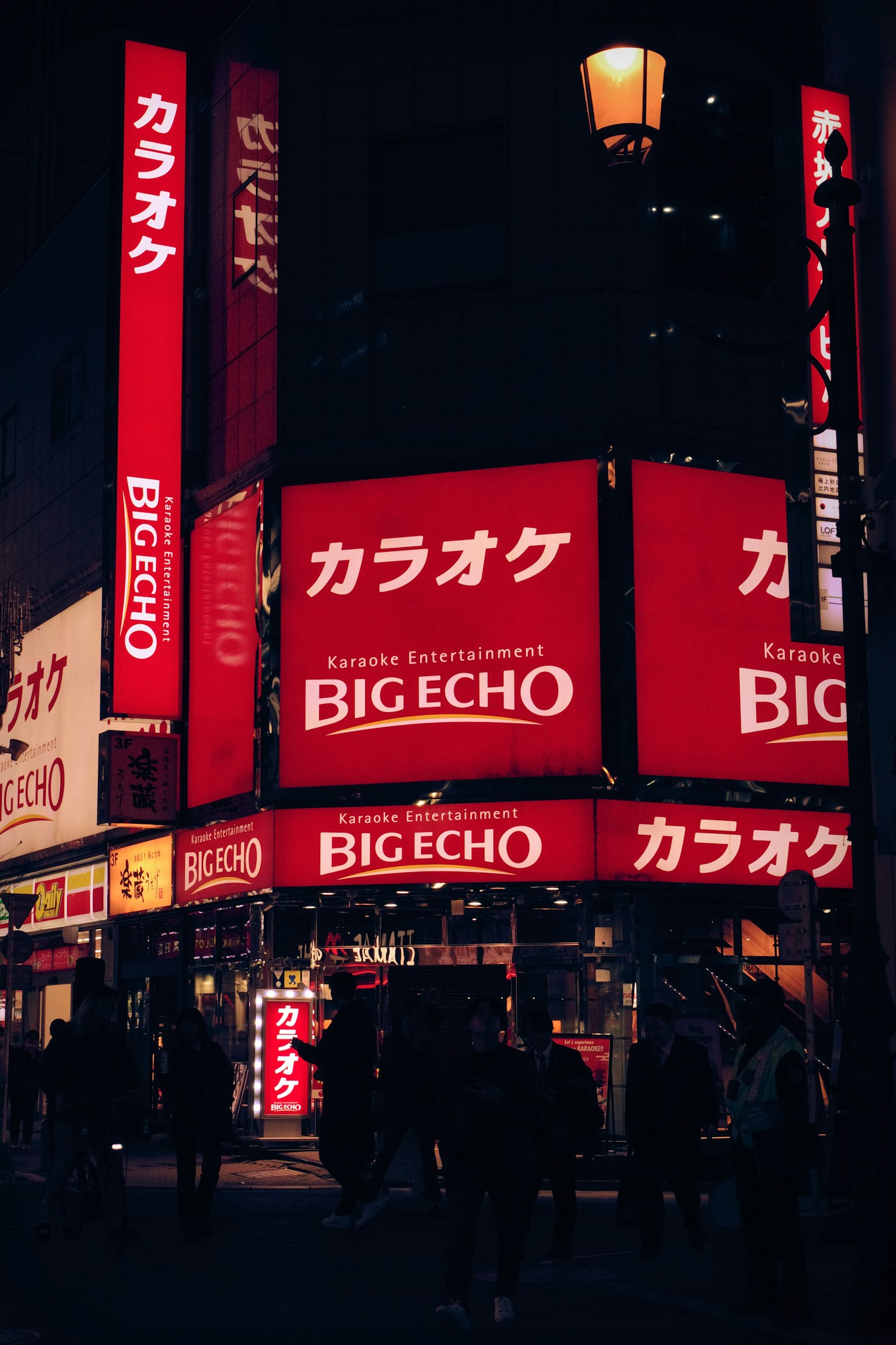 Big Echo karaoke signage in a vibrant city at night