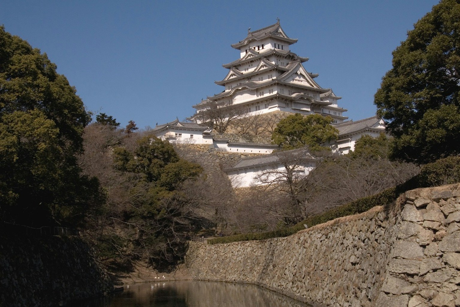 Japanese castle with white walls surrounded by trees