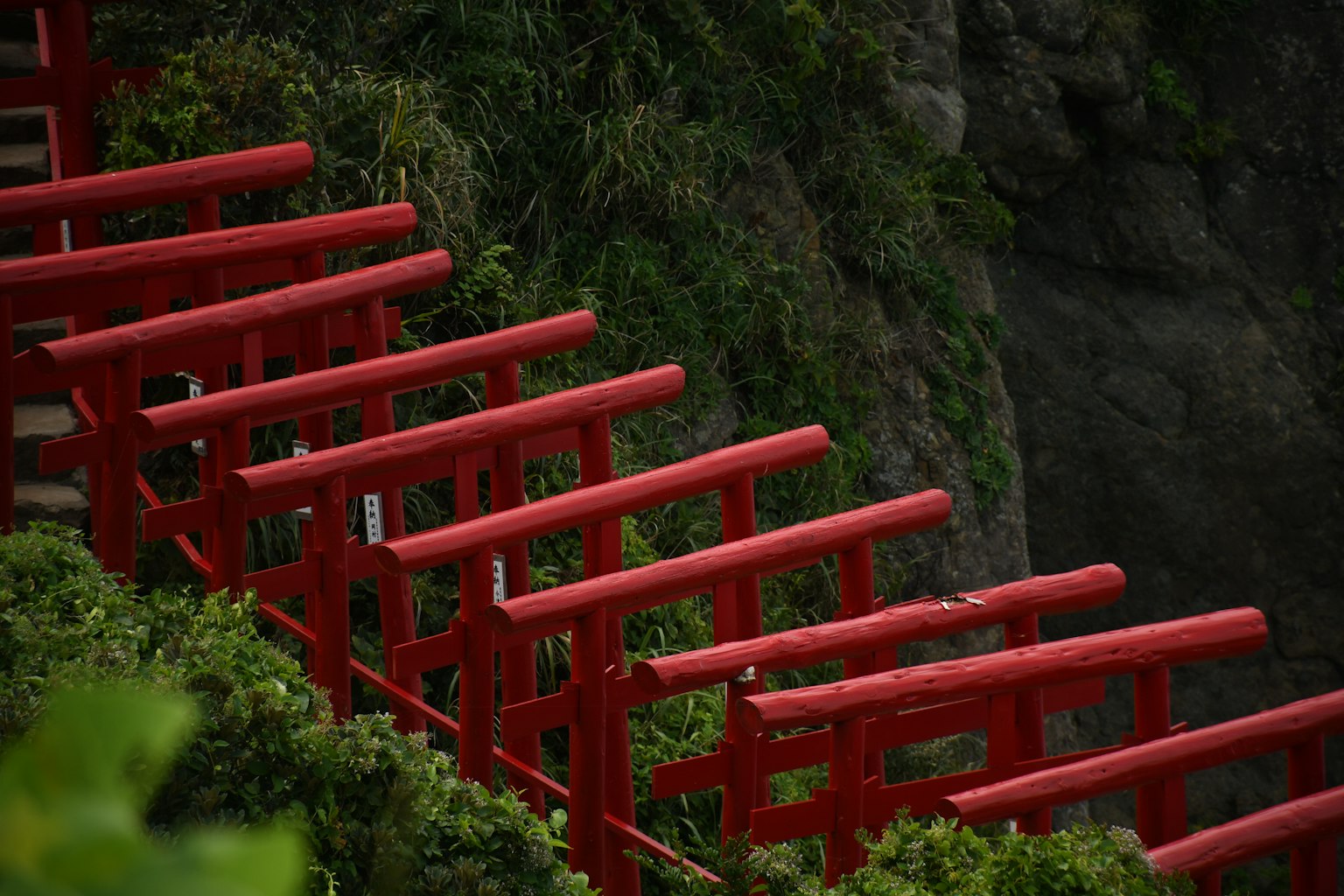 Cổng torii màu đỏ trên cầu thang bao quanh bởi cây xanh