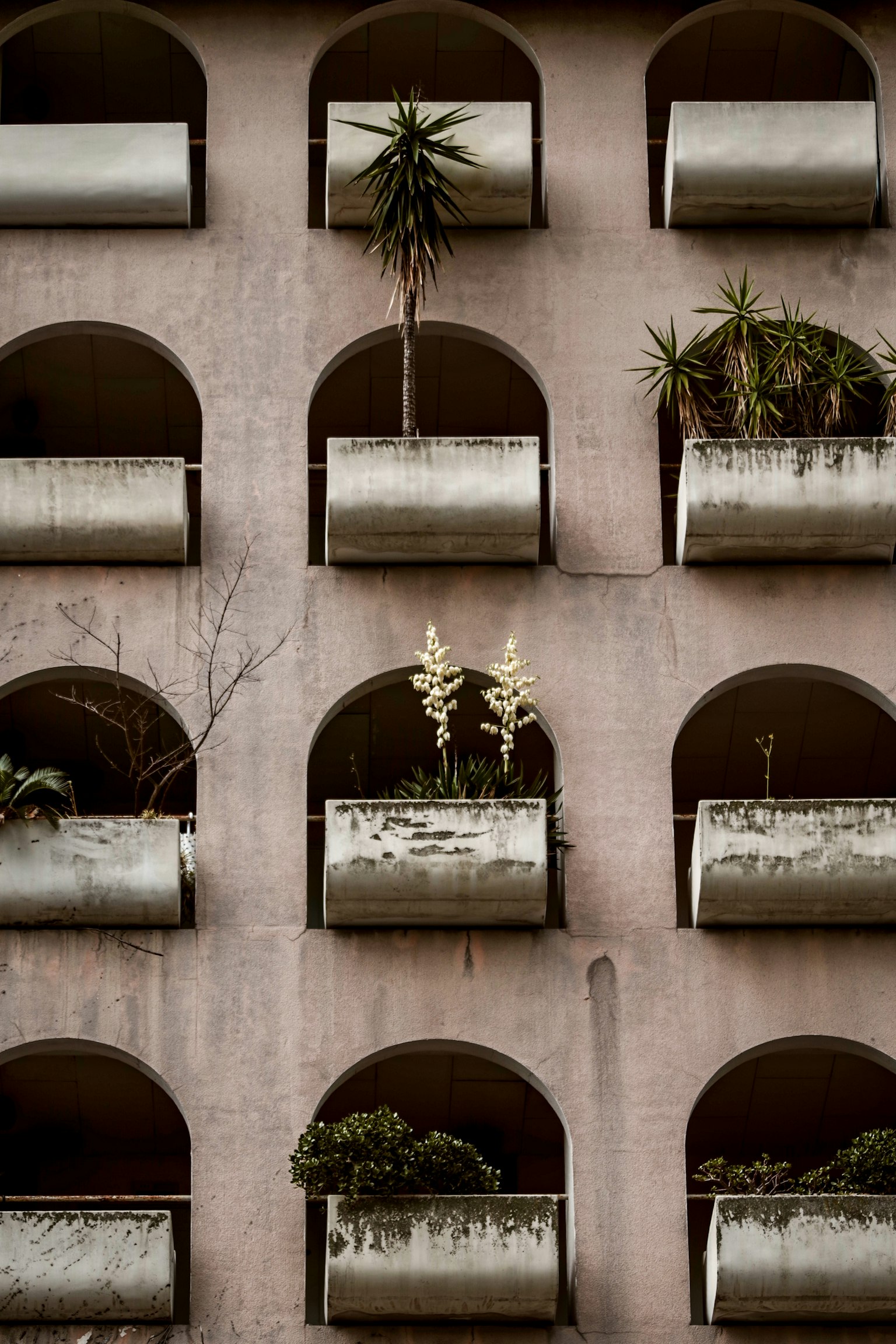 Esterno di un edificio con balconi ad arco che presentano varie piante
