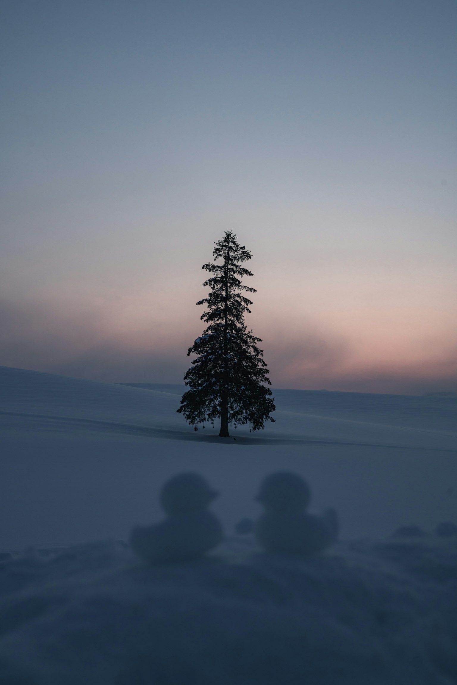一棵孤樹矗立在雪覆蓋的景觀中，伴隨其影子