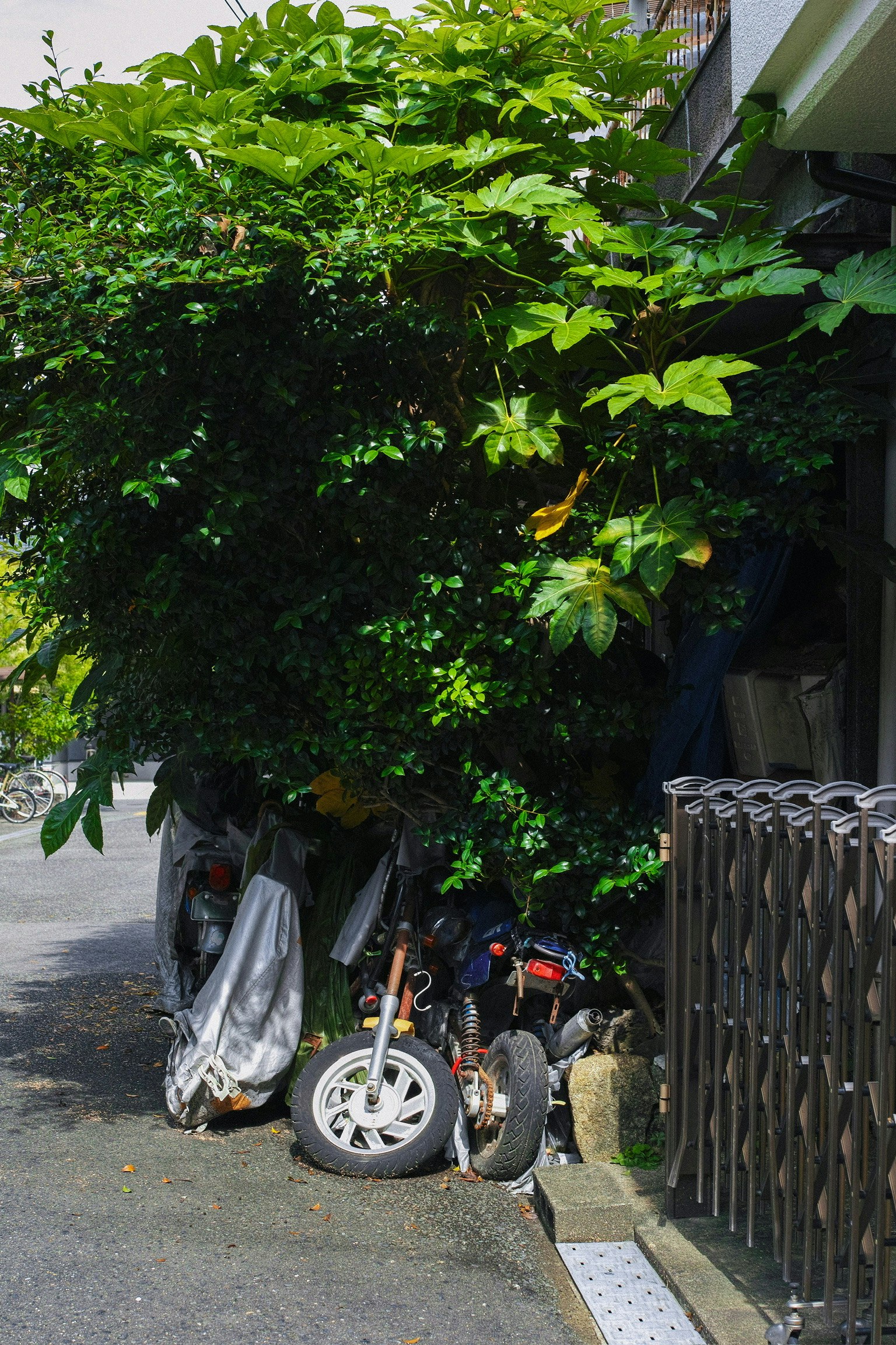 A corner of a narrow street covered with lush greenery featuring a parked motorcycle and tires