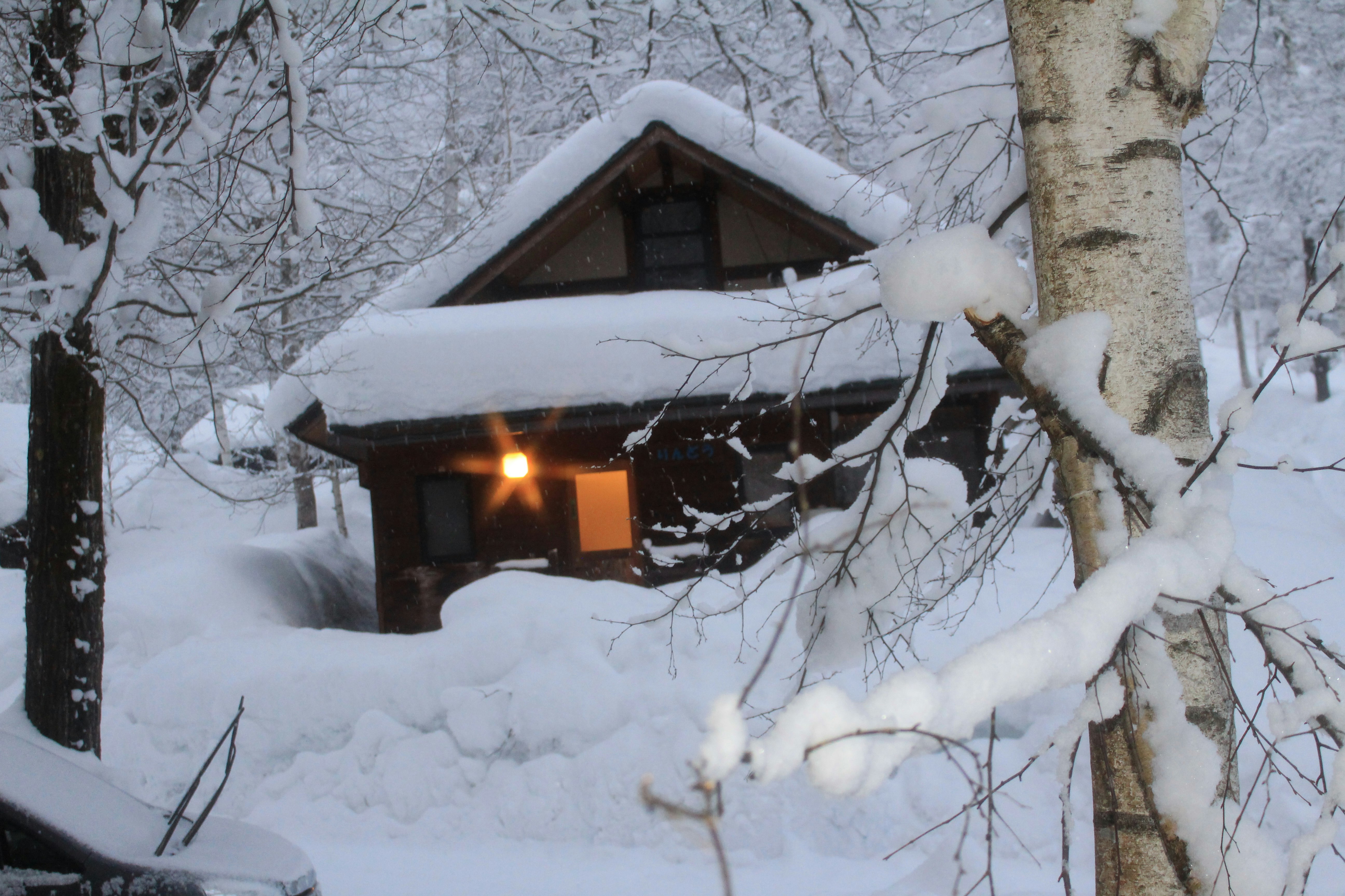 entrada de cabaña cubierta de nieve en un bosque