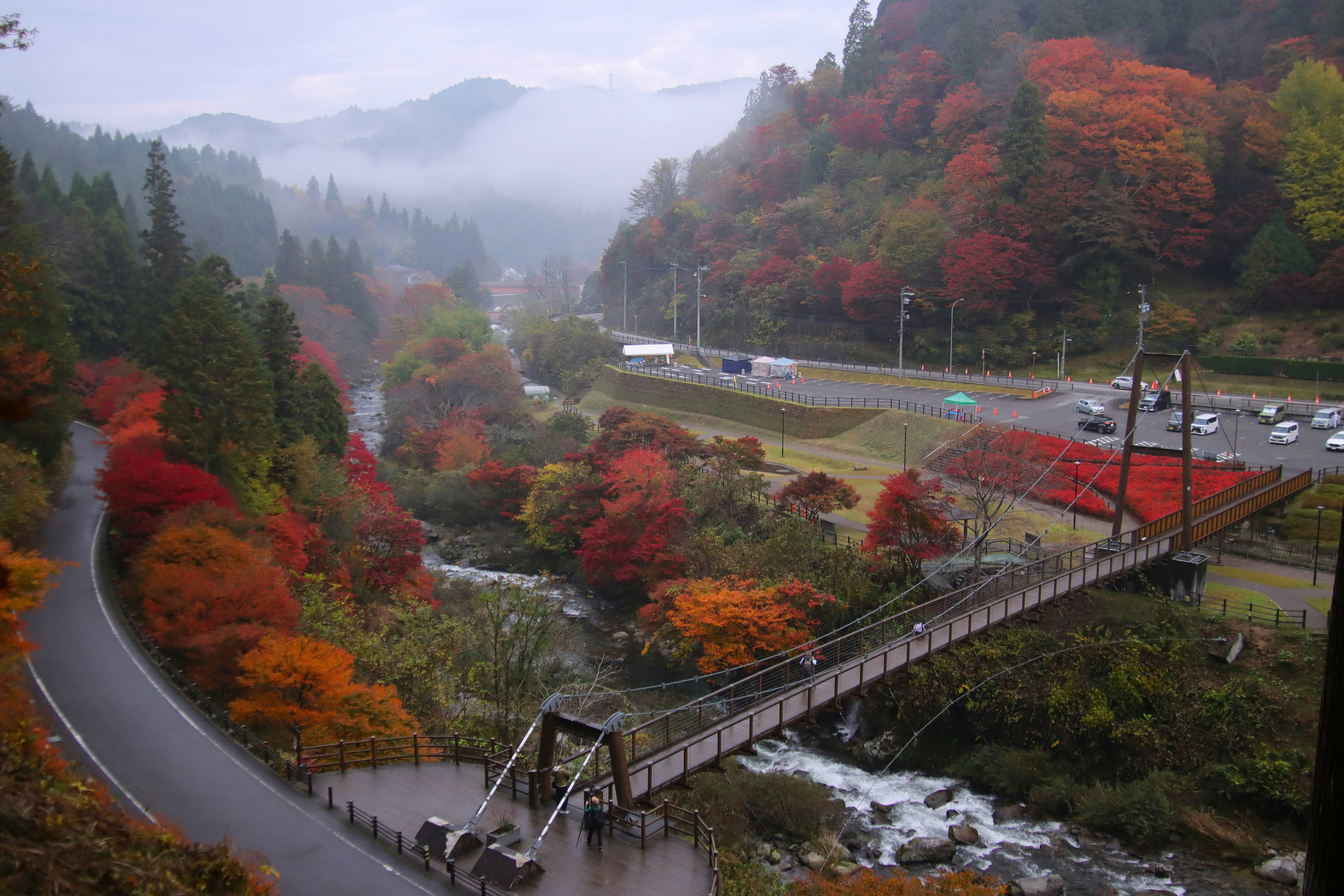 Herbstlaub im Dahei-Park entlang eines Uferwegs am Bach