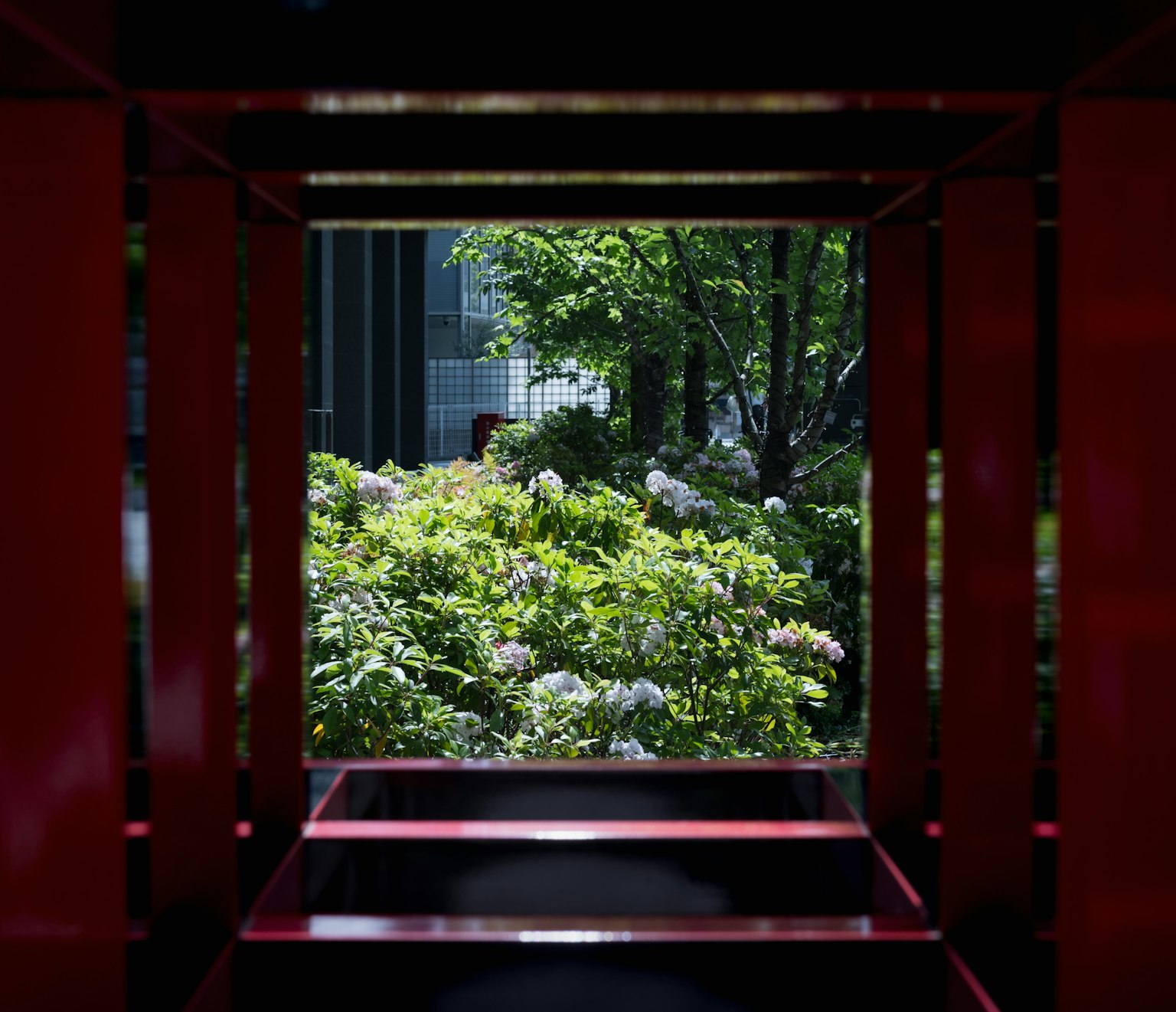 View of lush greenery through a red frame