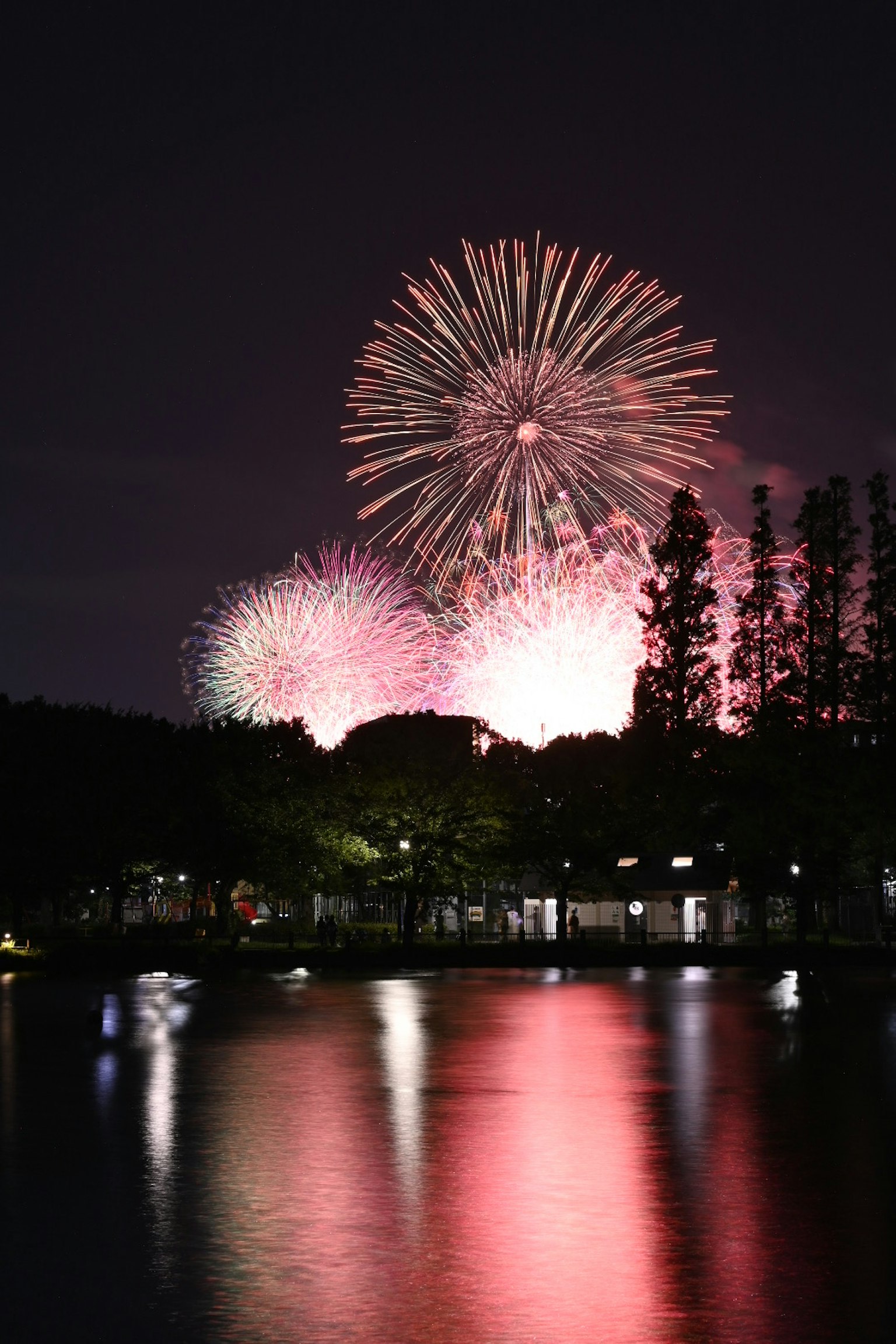 烟花照亮夜空，湖面平静反射