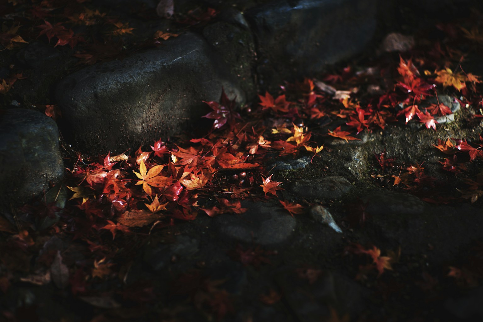 photo-sqYaOM5NRAaPtFCtT8zZ-image