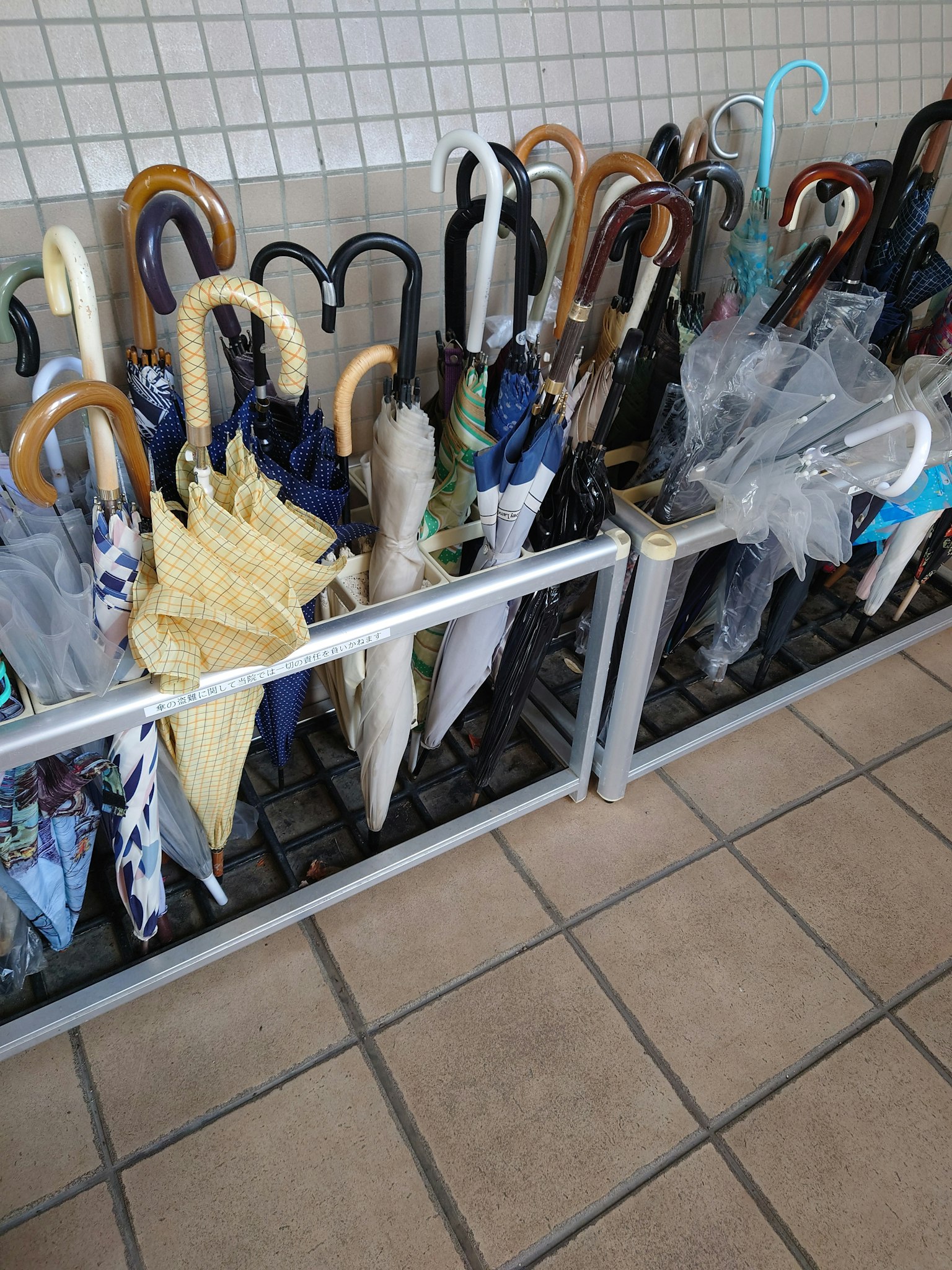 Image of neatly arranged umbrellas in a stand