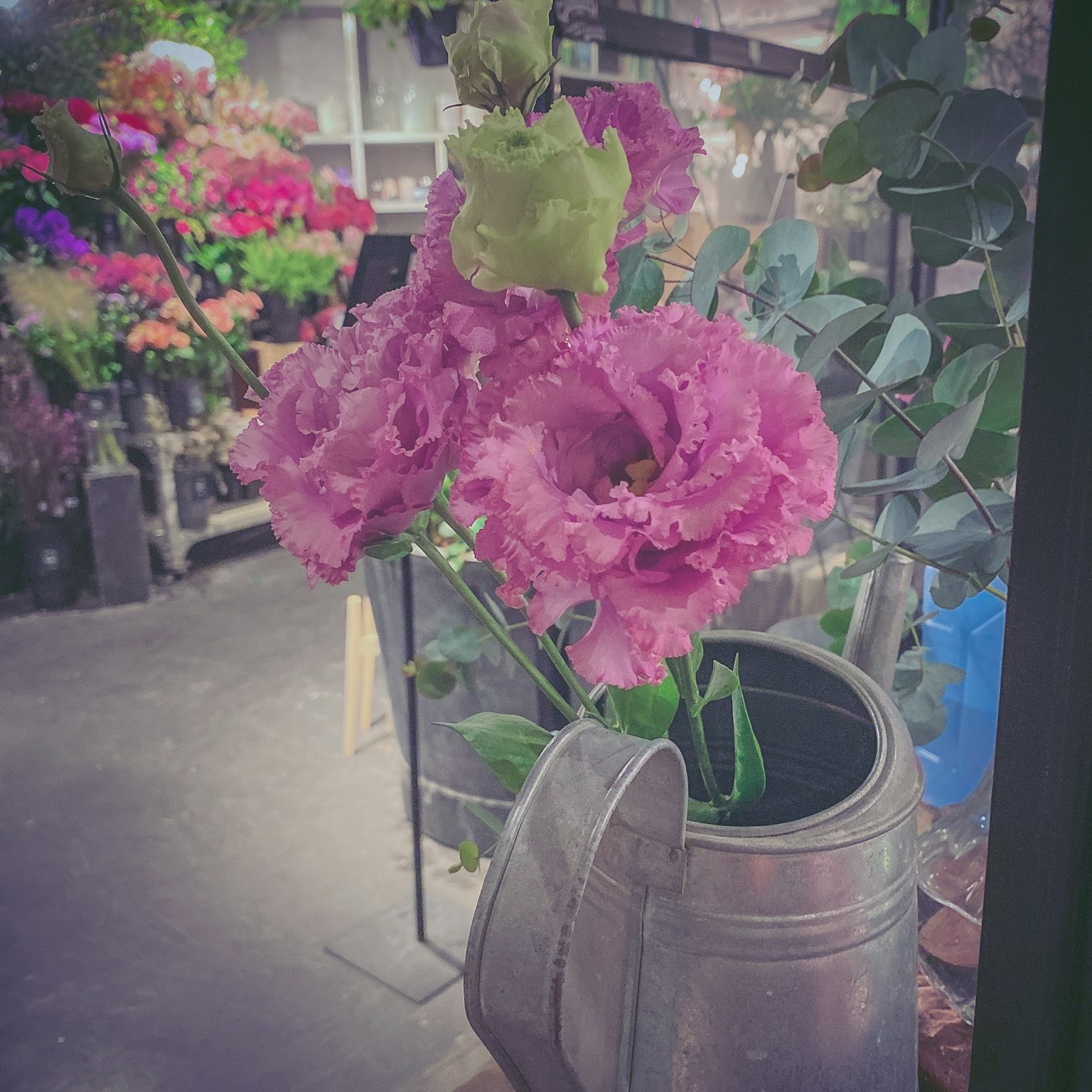 Fiori rosa disposti in un annaffiatoio in un negozio di fiori