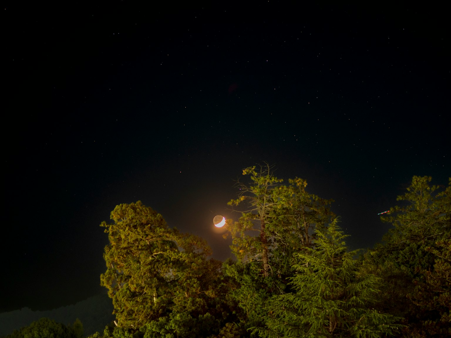 Sebuah bulan sabit tipis bersinar di langit gelap yang dipenuhi bintang dan dikelilingi oleh pepohonan hijau subur